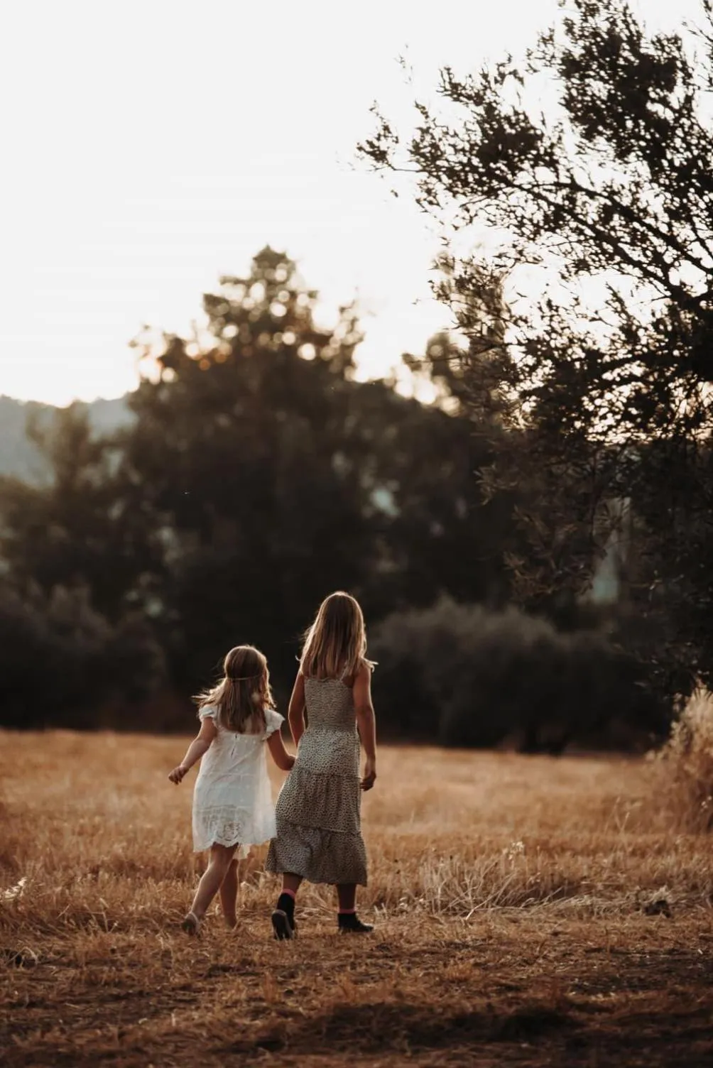 Natural landscape in Cortijo La Presa