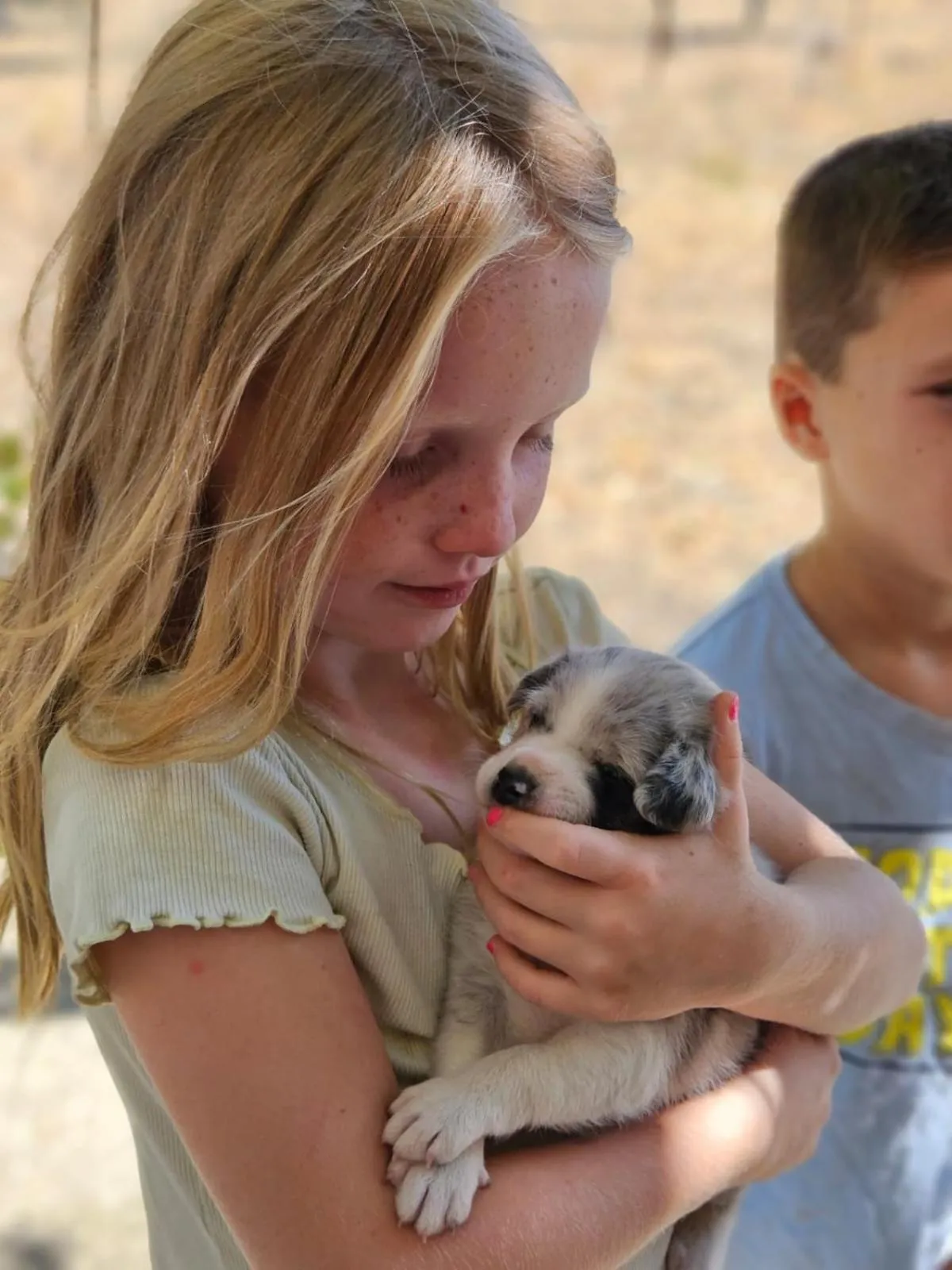 Animals in Cortijo La Presa