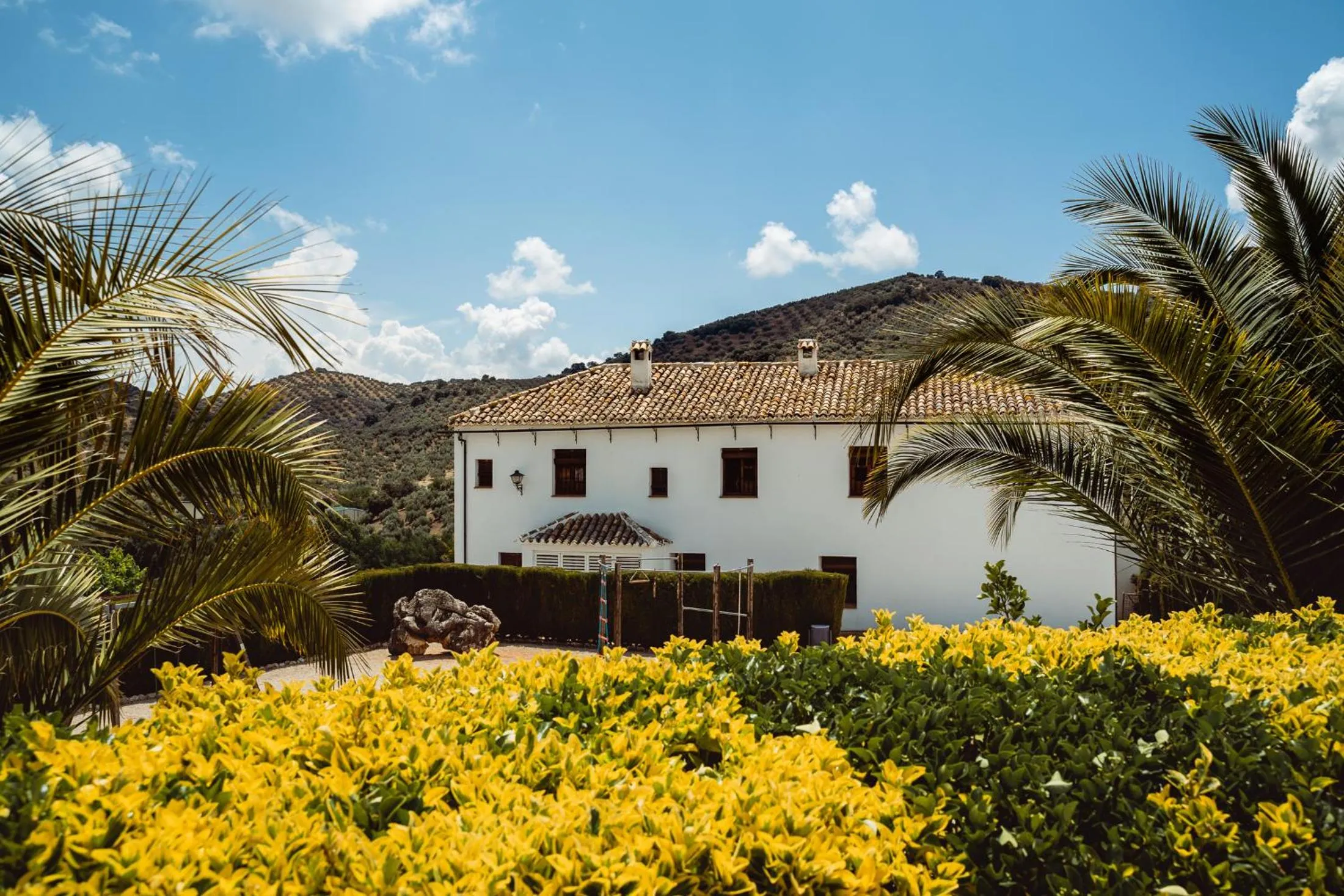 Property building in Cortijo La Presa