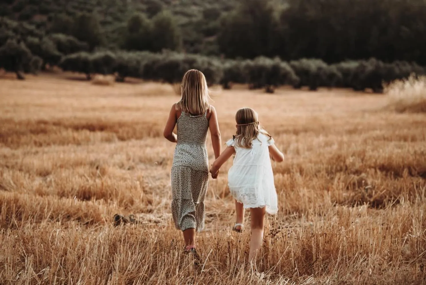 Summer in Cortijo La Presa