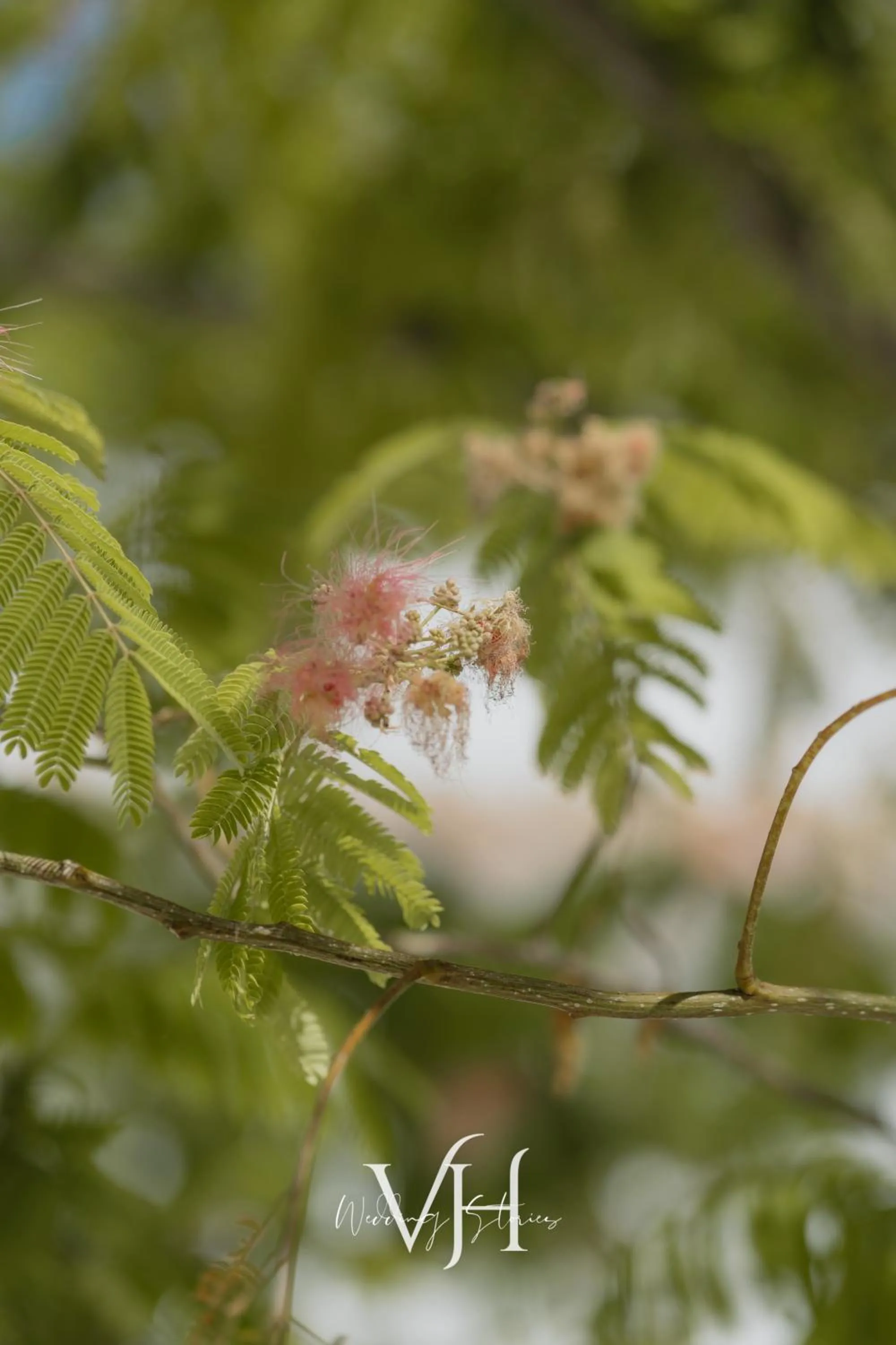 Garden in Cortijo La Presa