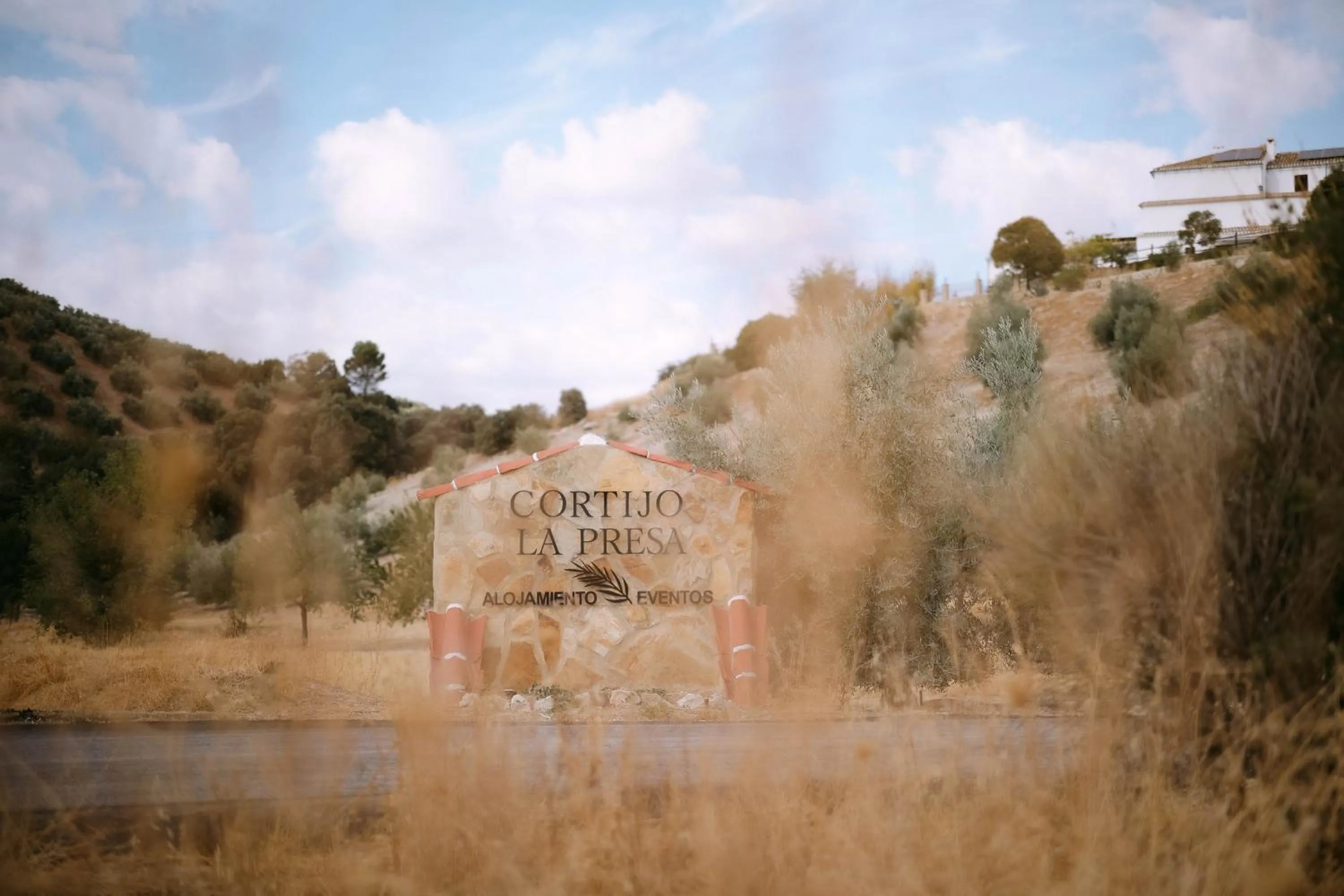 Property building in Cortijo La Presa