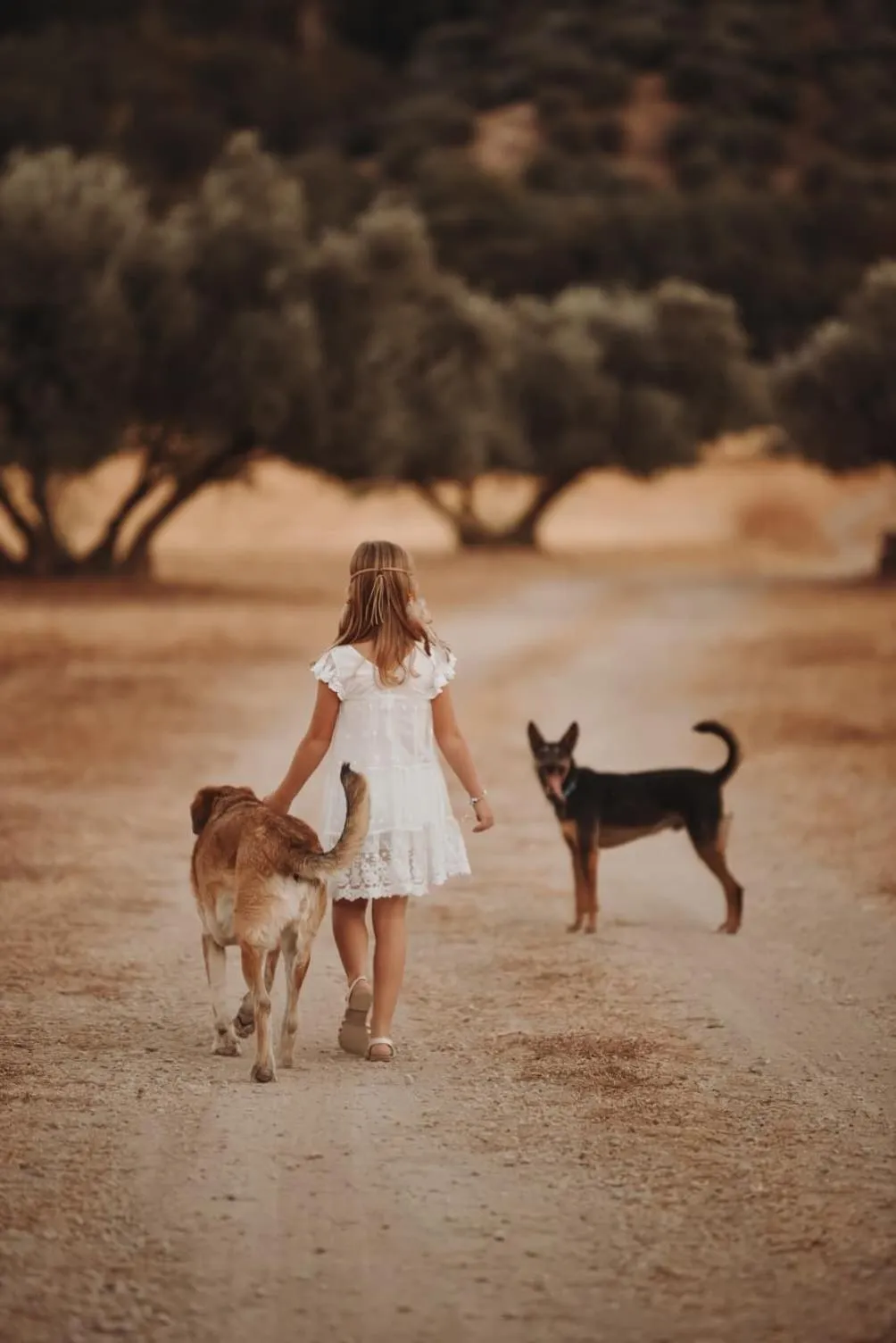 Activities in Cortijo La Presa