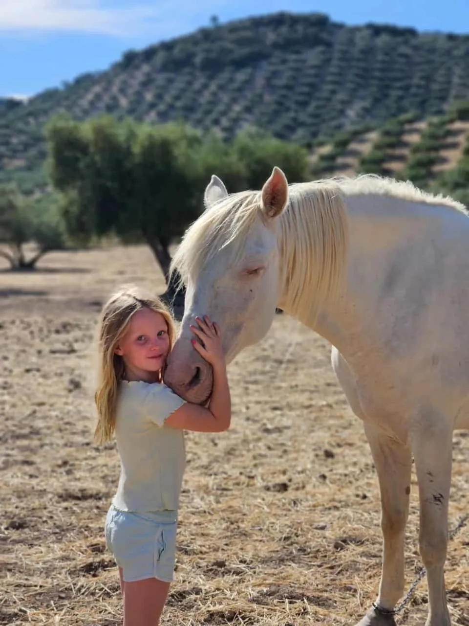 Activities in Cortijo La Presa