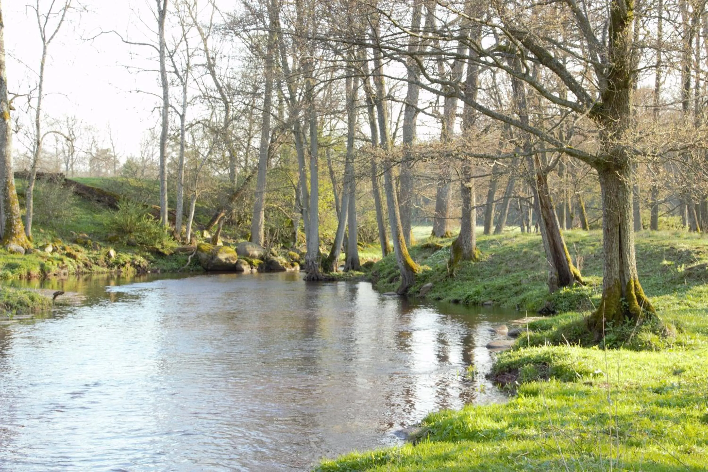 Spring in Kuskahusen vandrarhem