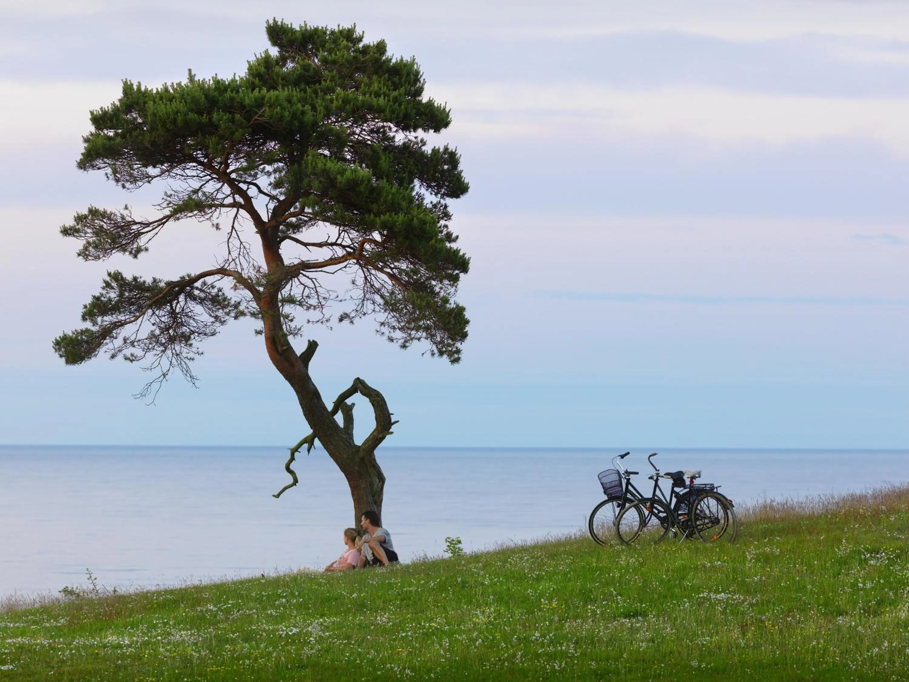 People in Kuskahusen vandrarhem