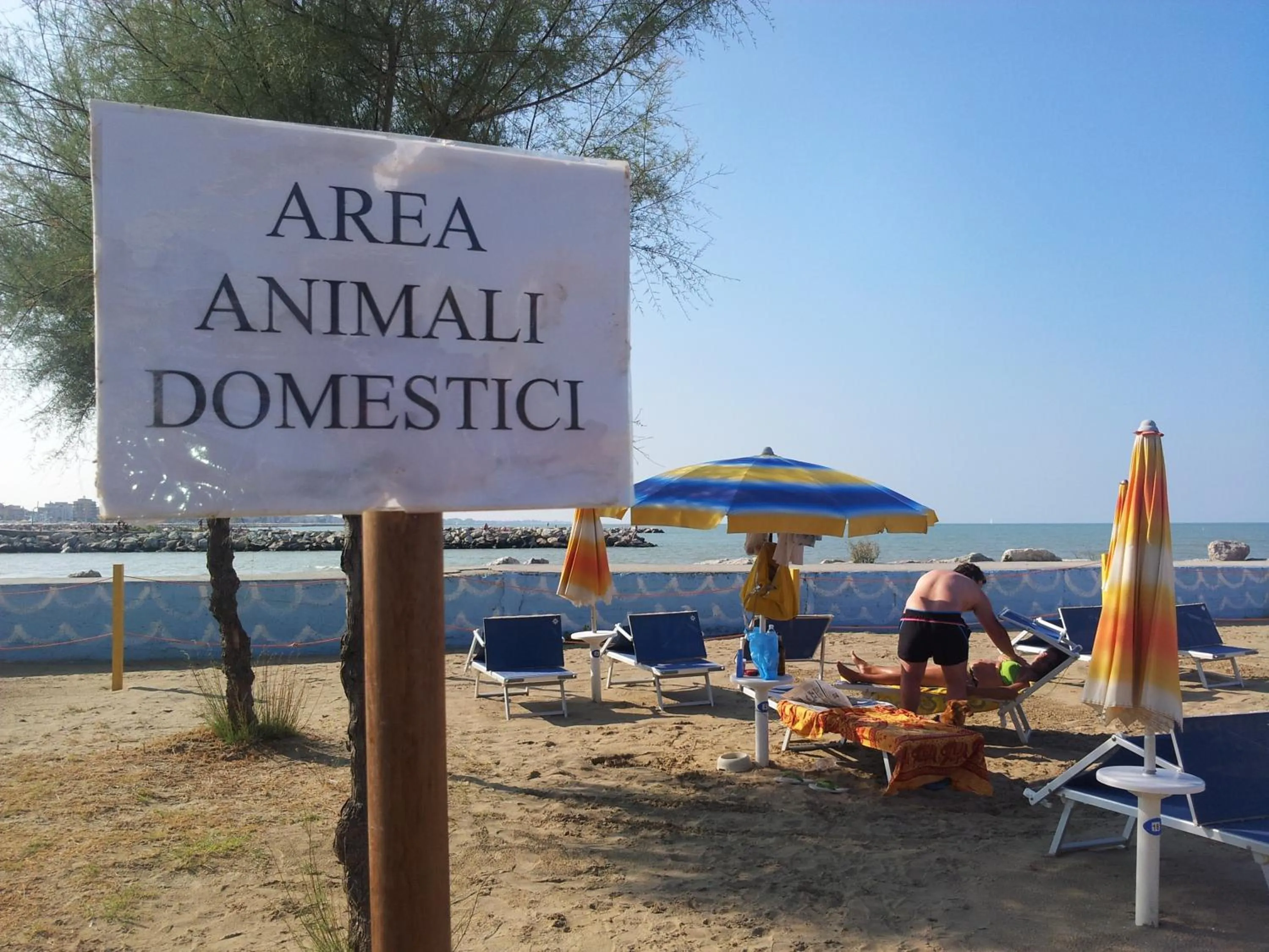 Day in Hotel Paloma Beach Front Chiringuitos Time