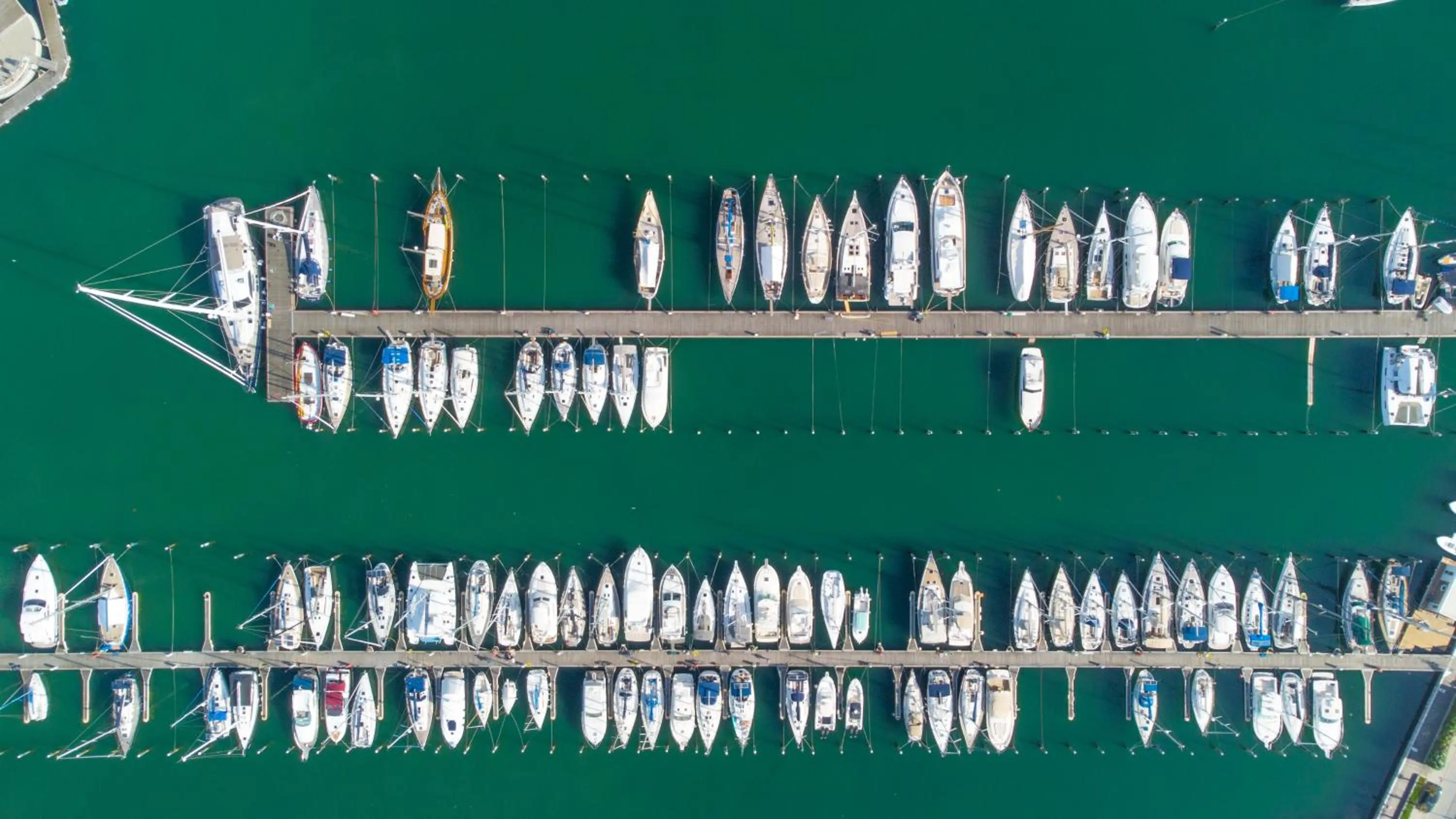 Hotel Paloma Beach Front Chiringuitos Time