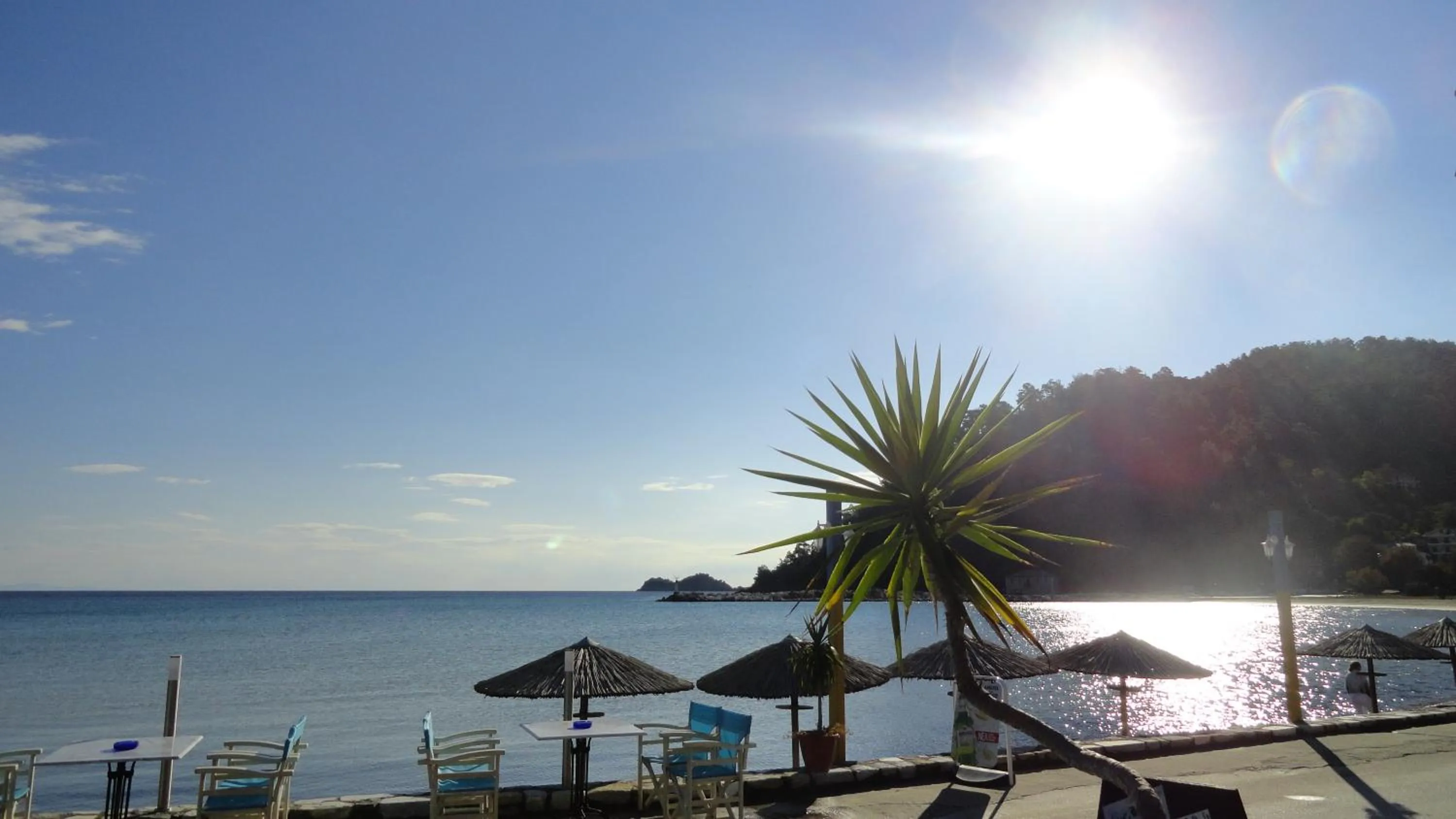 Natural landscape in Blue Sea Beach Hotel