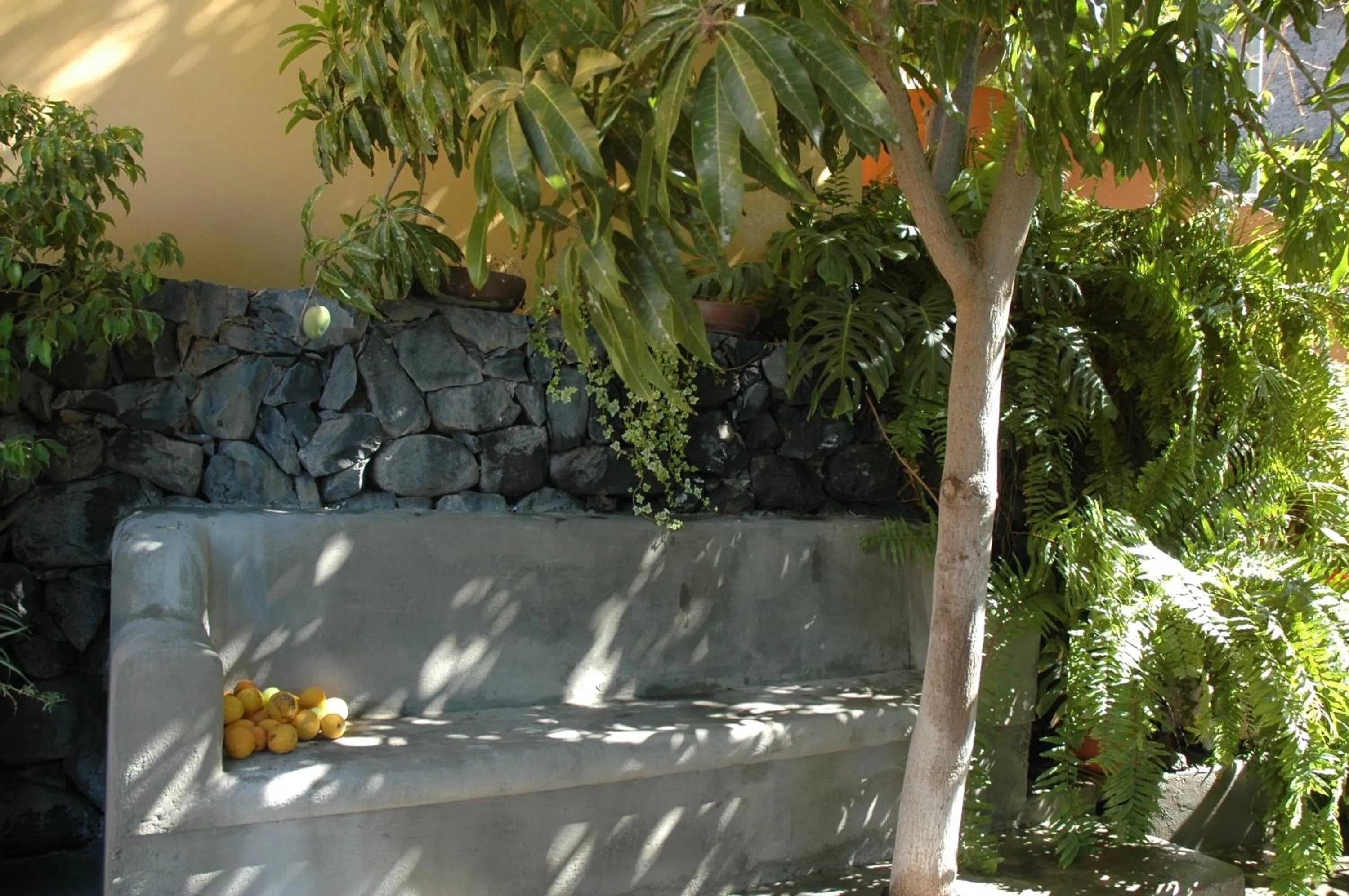 Restaurant/places to eat in Hotel Jardín Concha