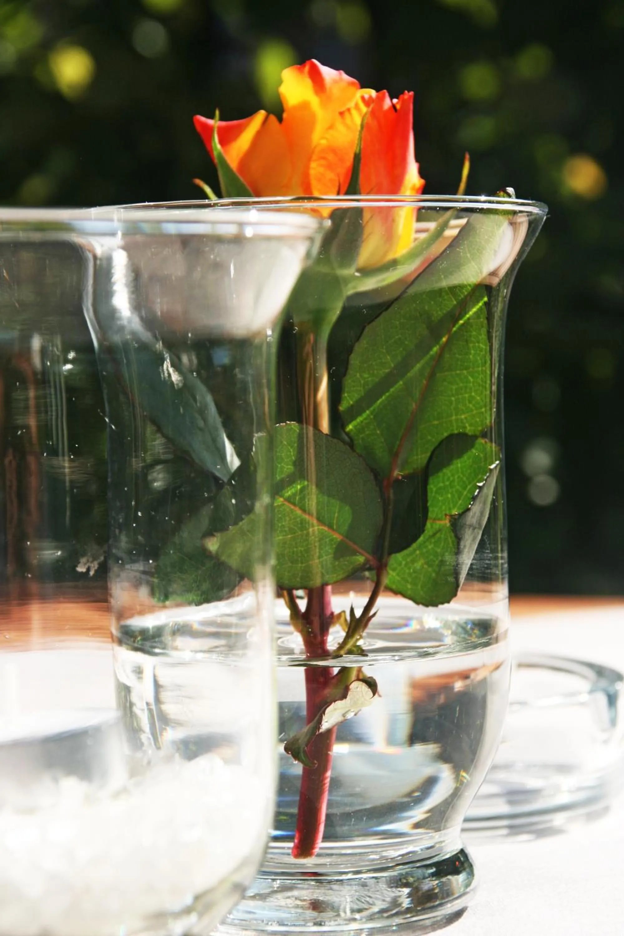 Restaurant/places to eat in Hotel Central