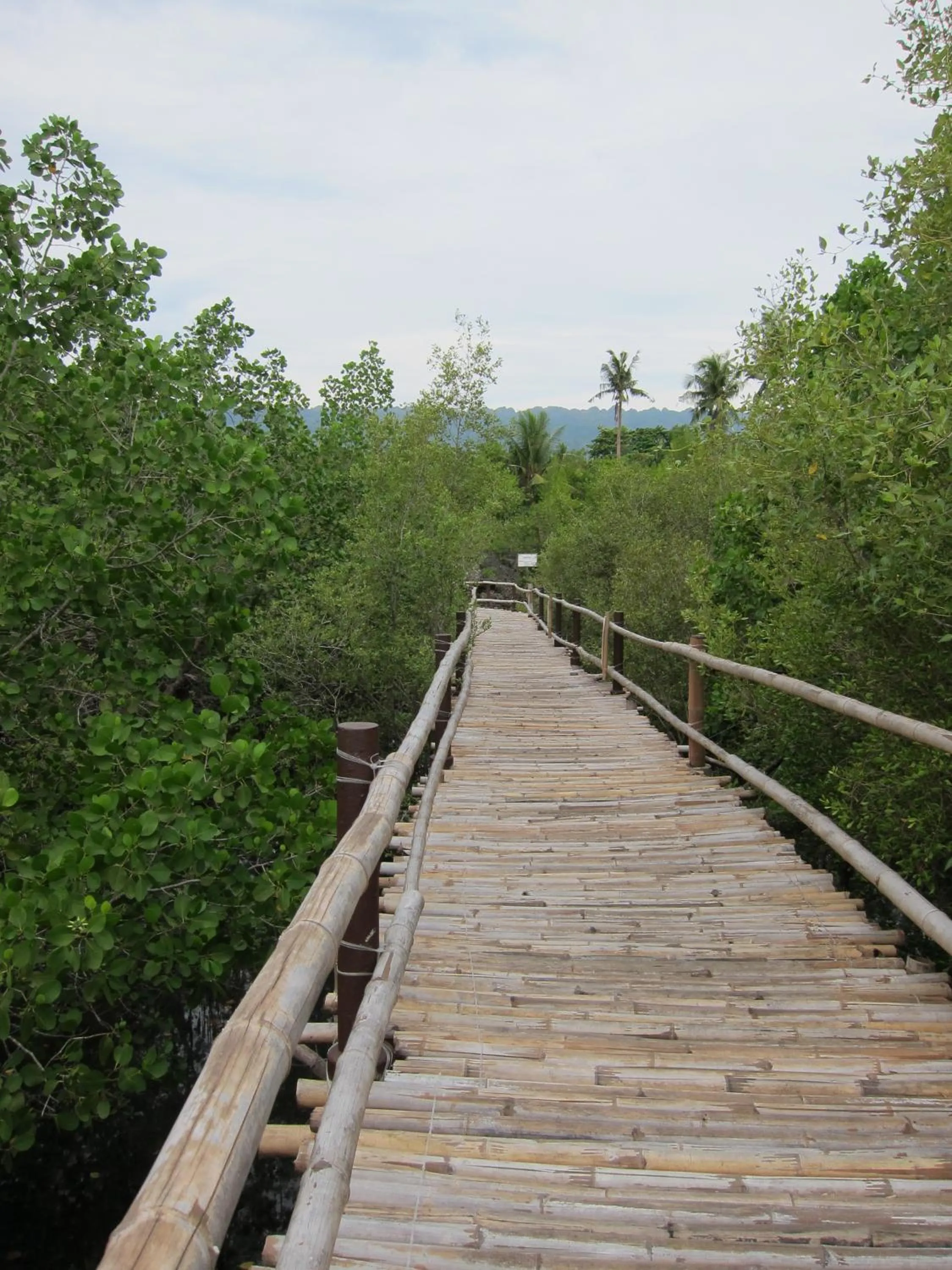 Day in Eskapo Verde Lodge Moalboal