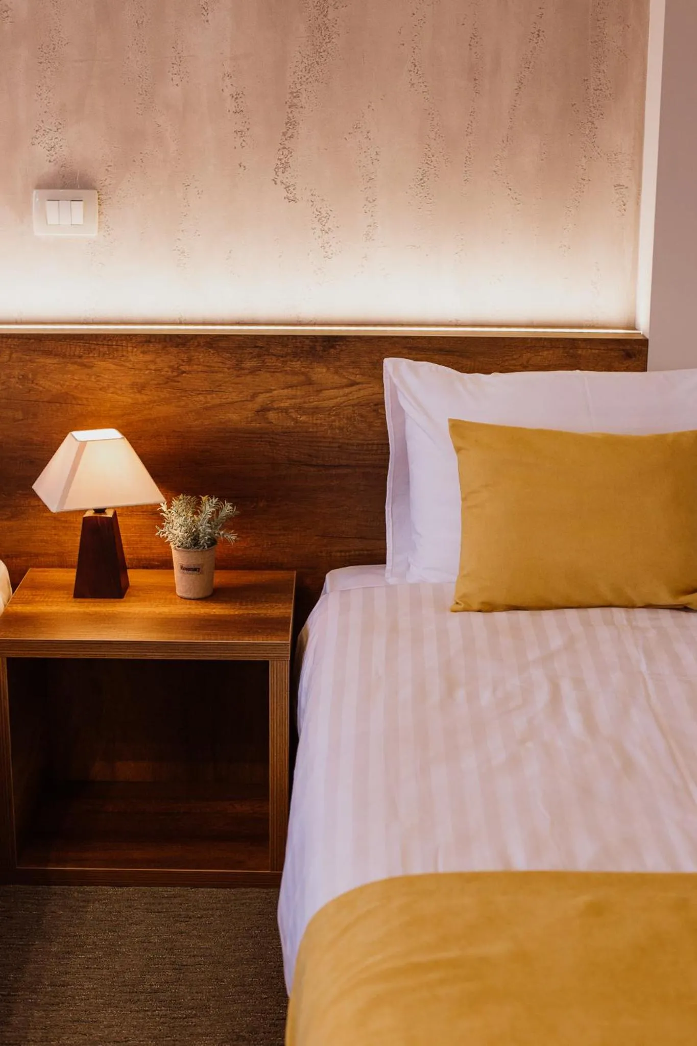 Single Room in Hotel Kapri