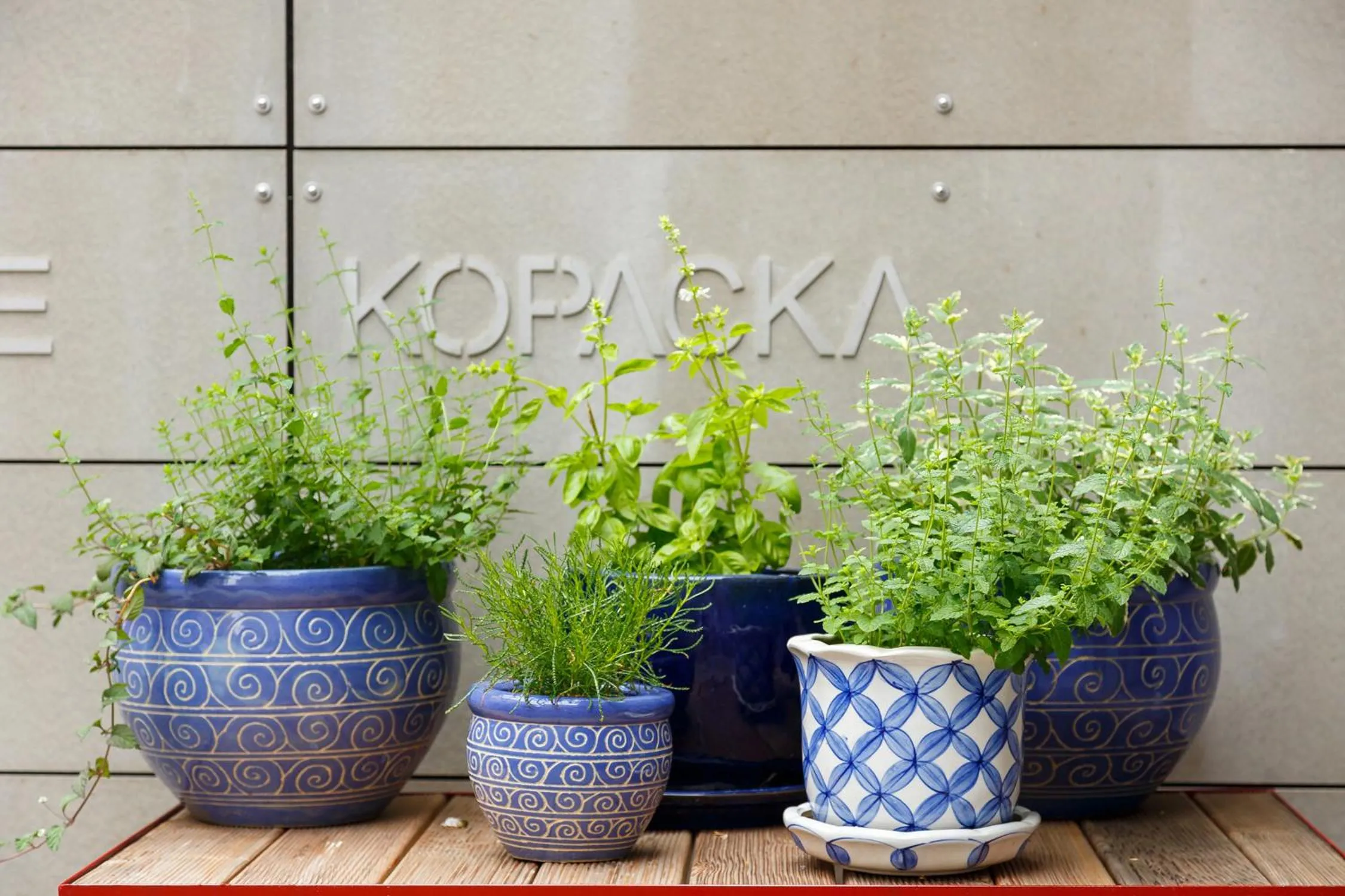 Hotel & Depandance Kopacka