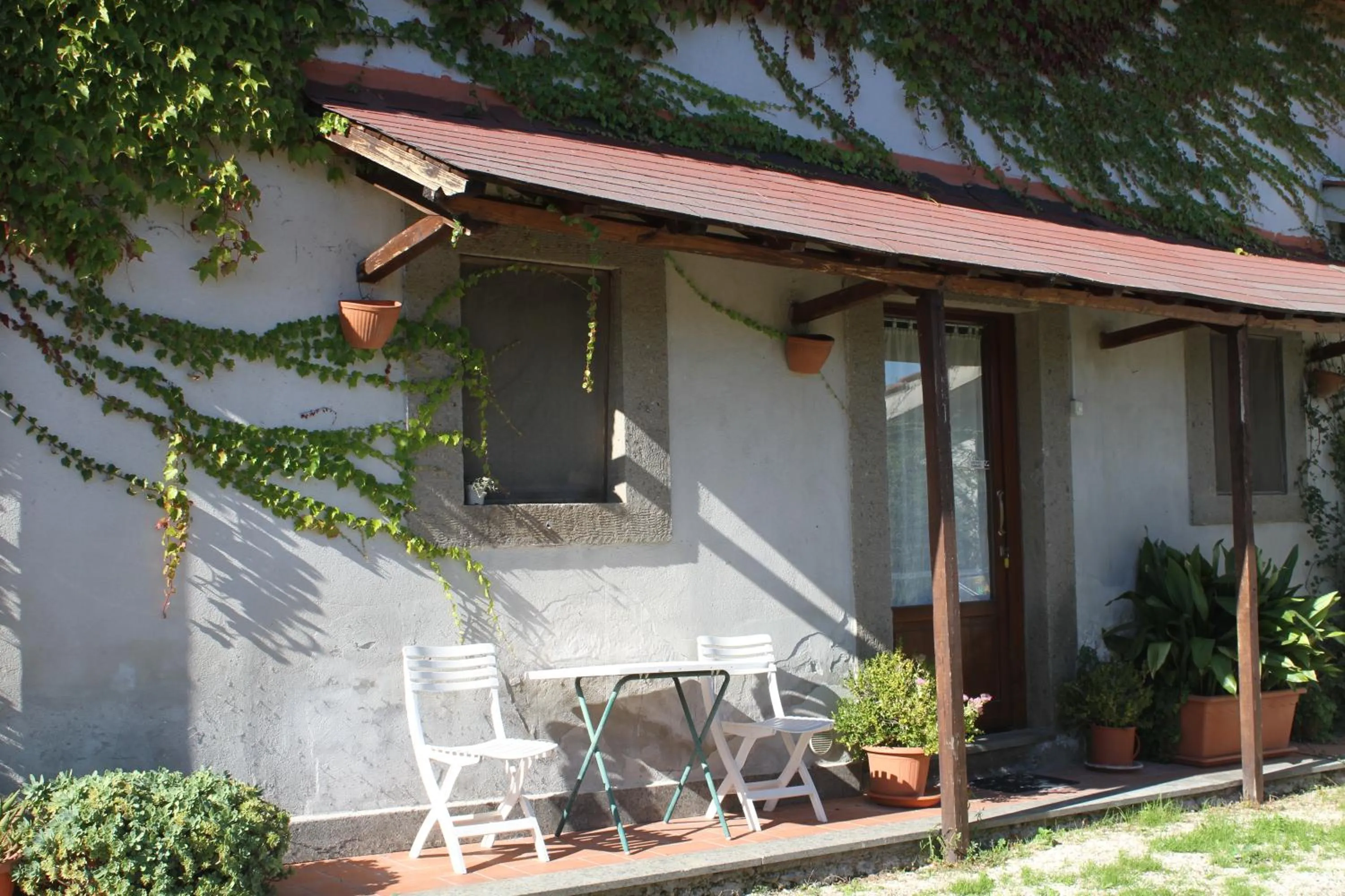 Facade/entrance in Vecchio olmo