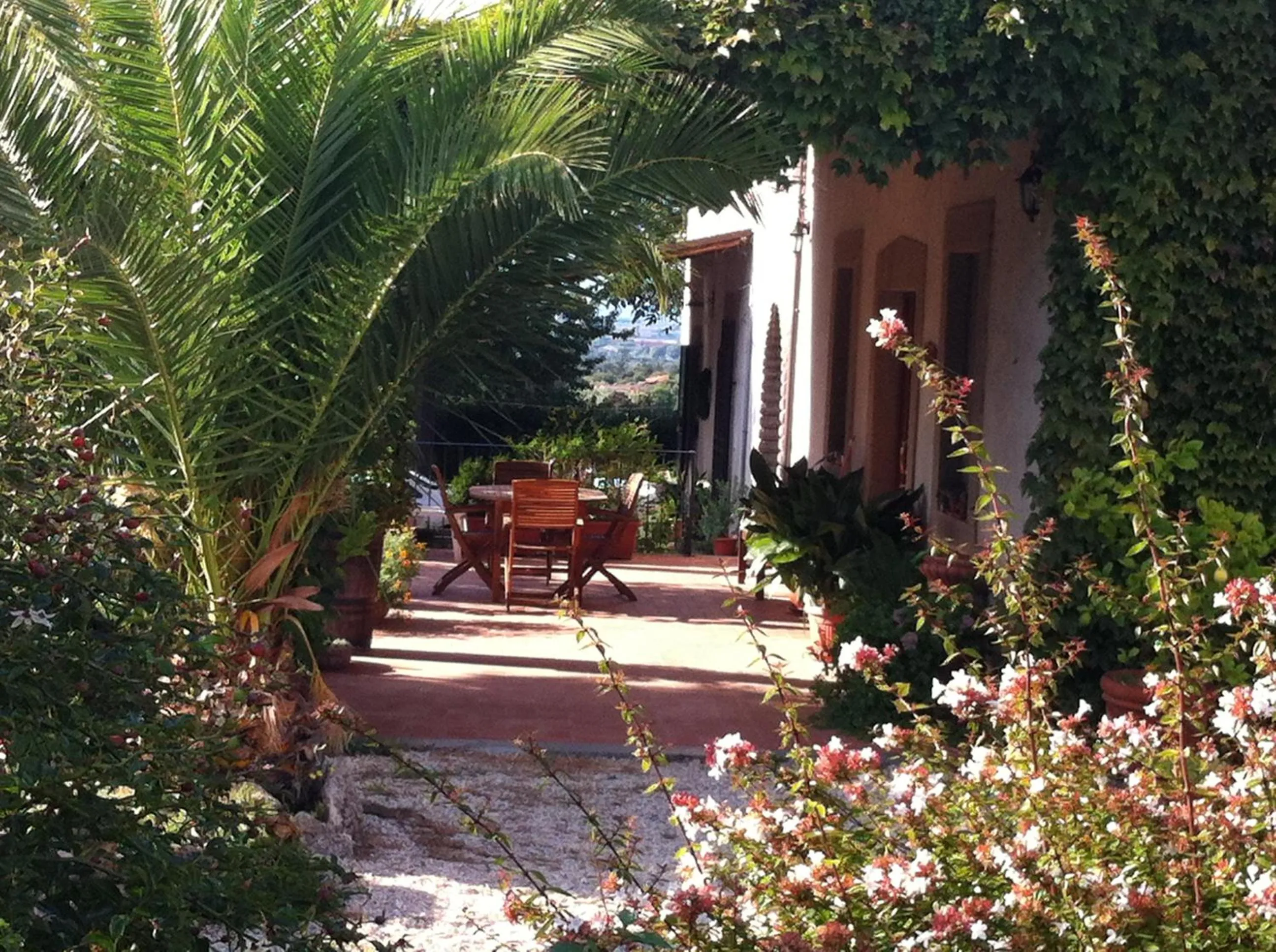 Patio in Vecchio olmo