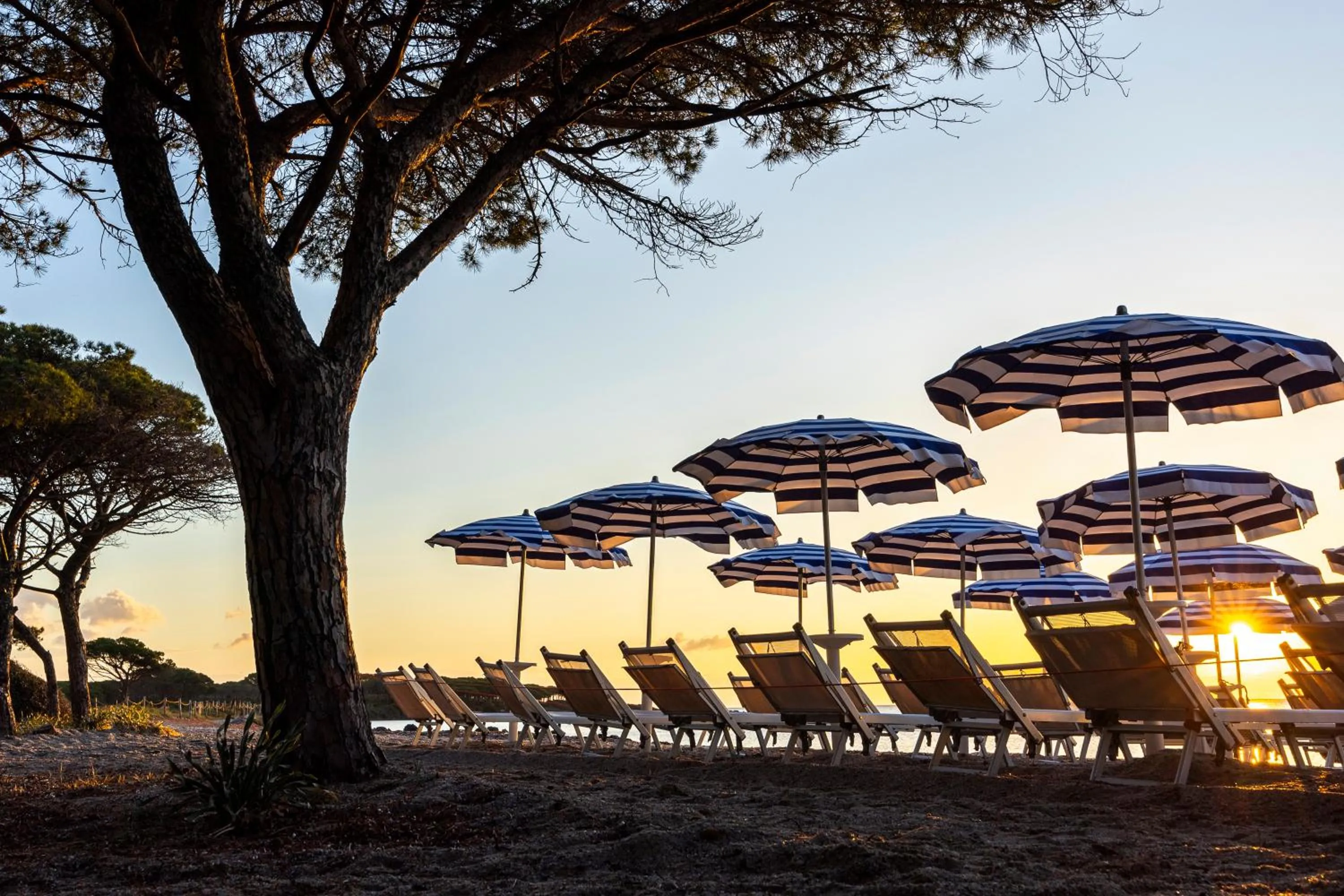 Beach in MClub Budoni