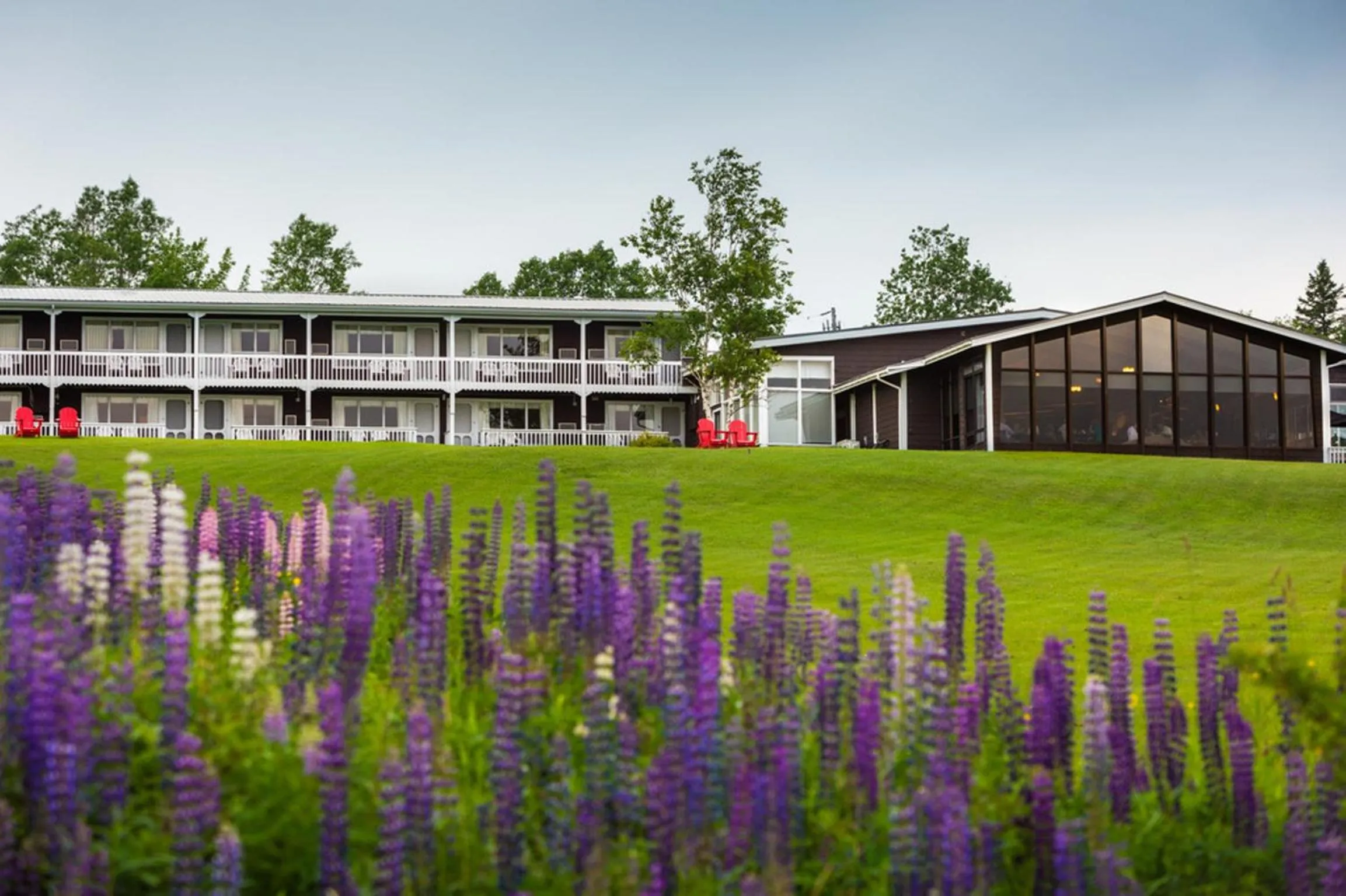 Property building in Silver Dart Lodge