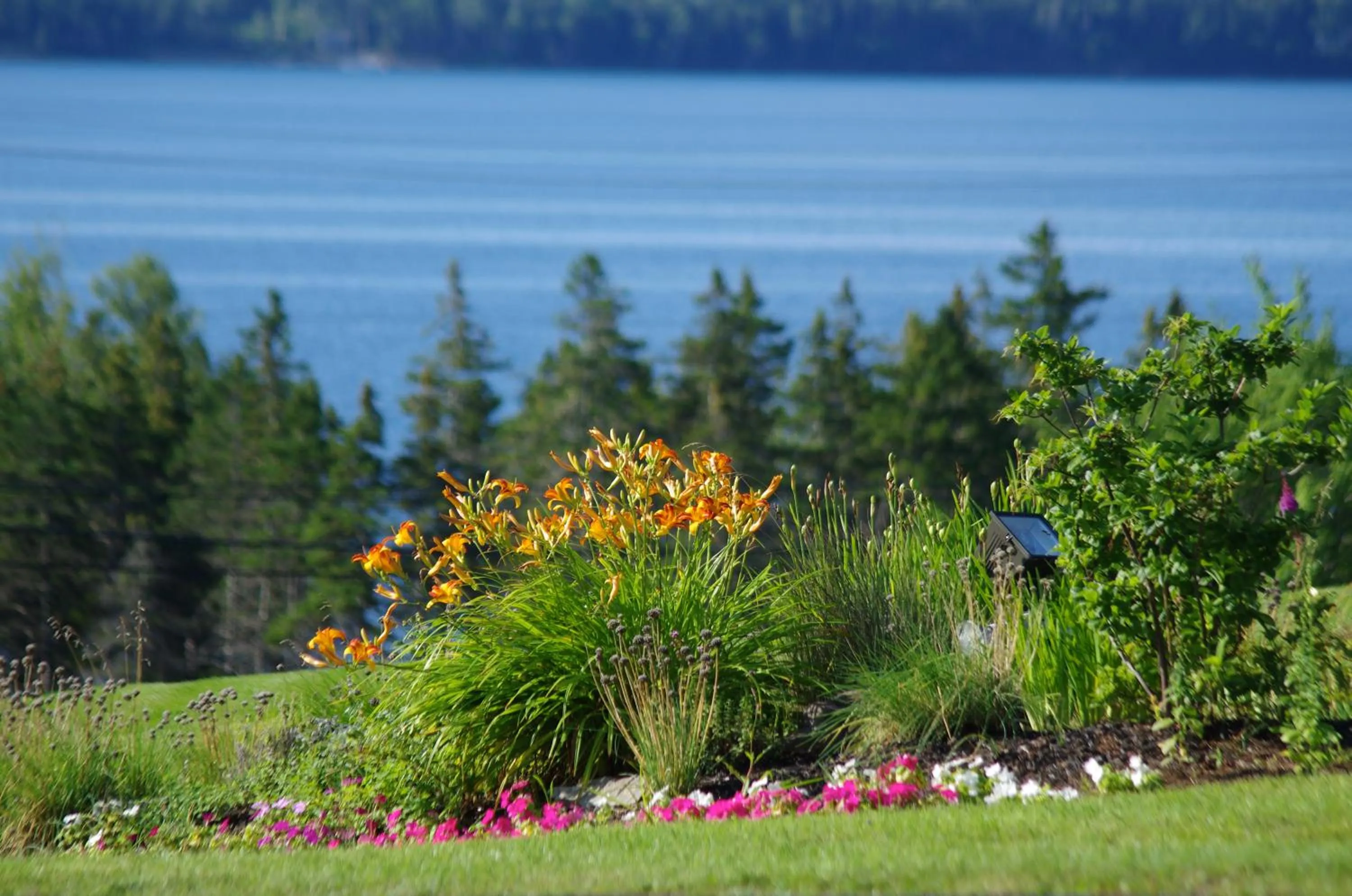 View (from property/room) in Silver Dart Lodge