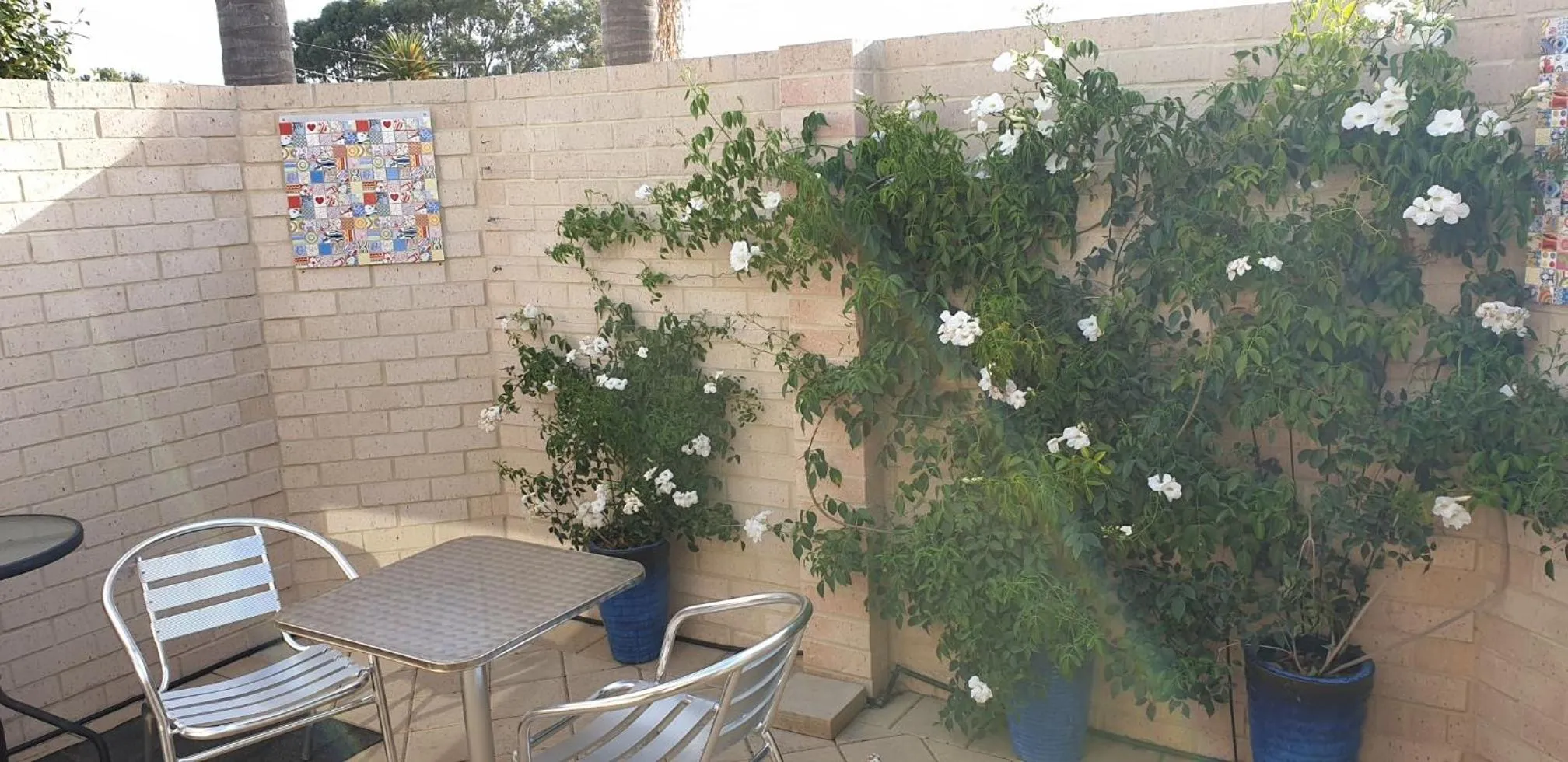 Alexander Drive B & B