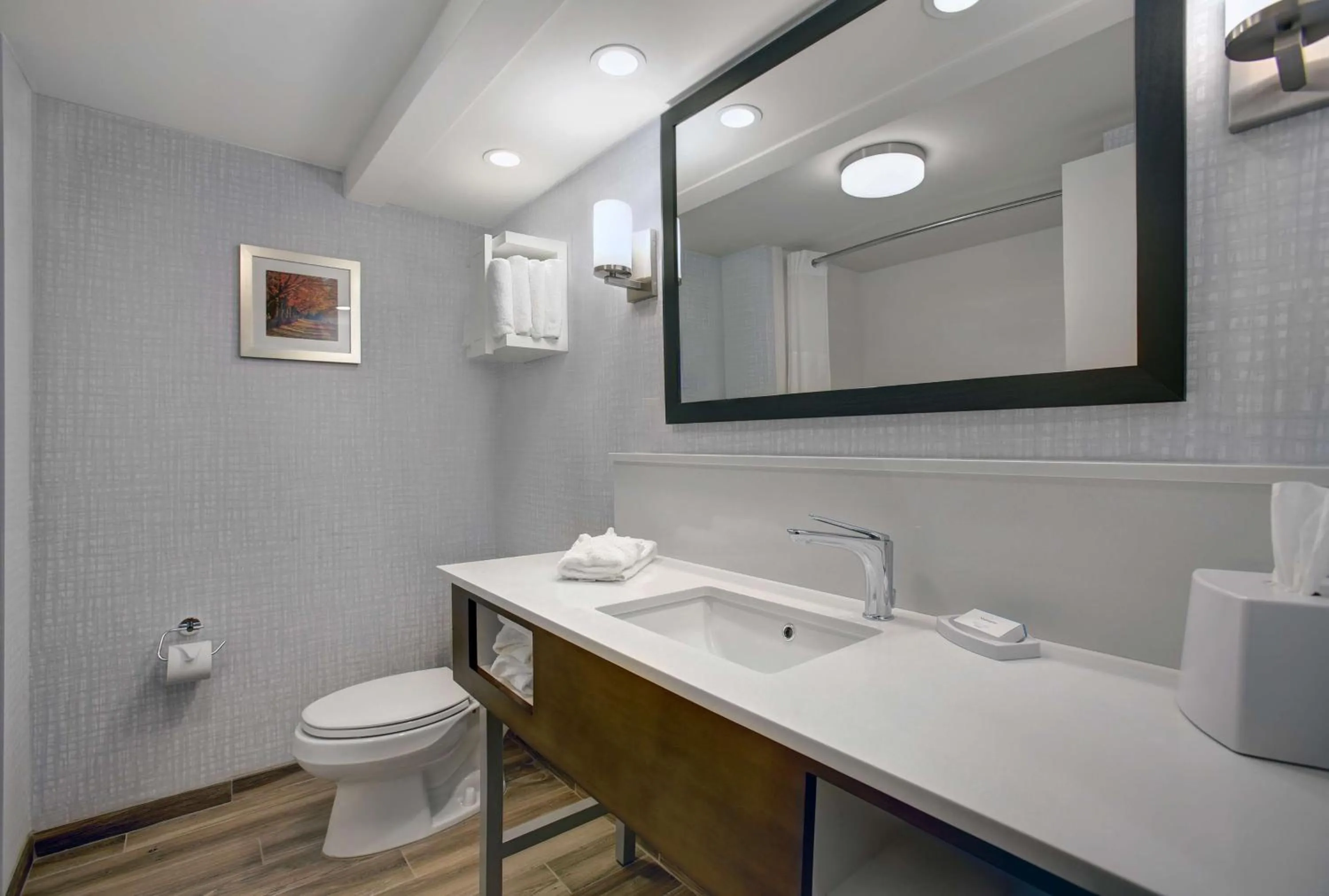 Bathroom in Hampton Inn Salisbury