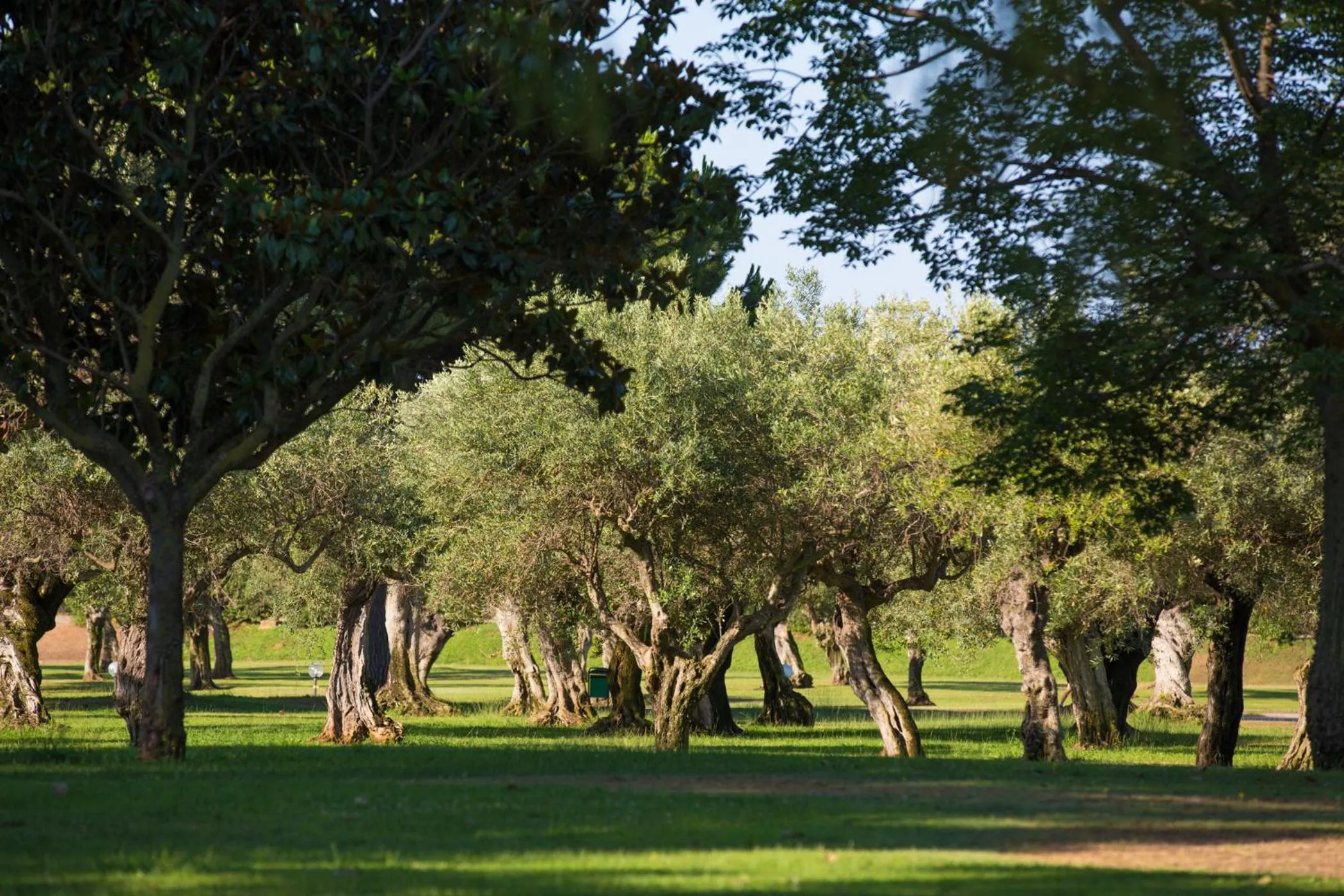 Garden in MClub Lipari