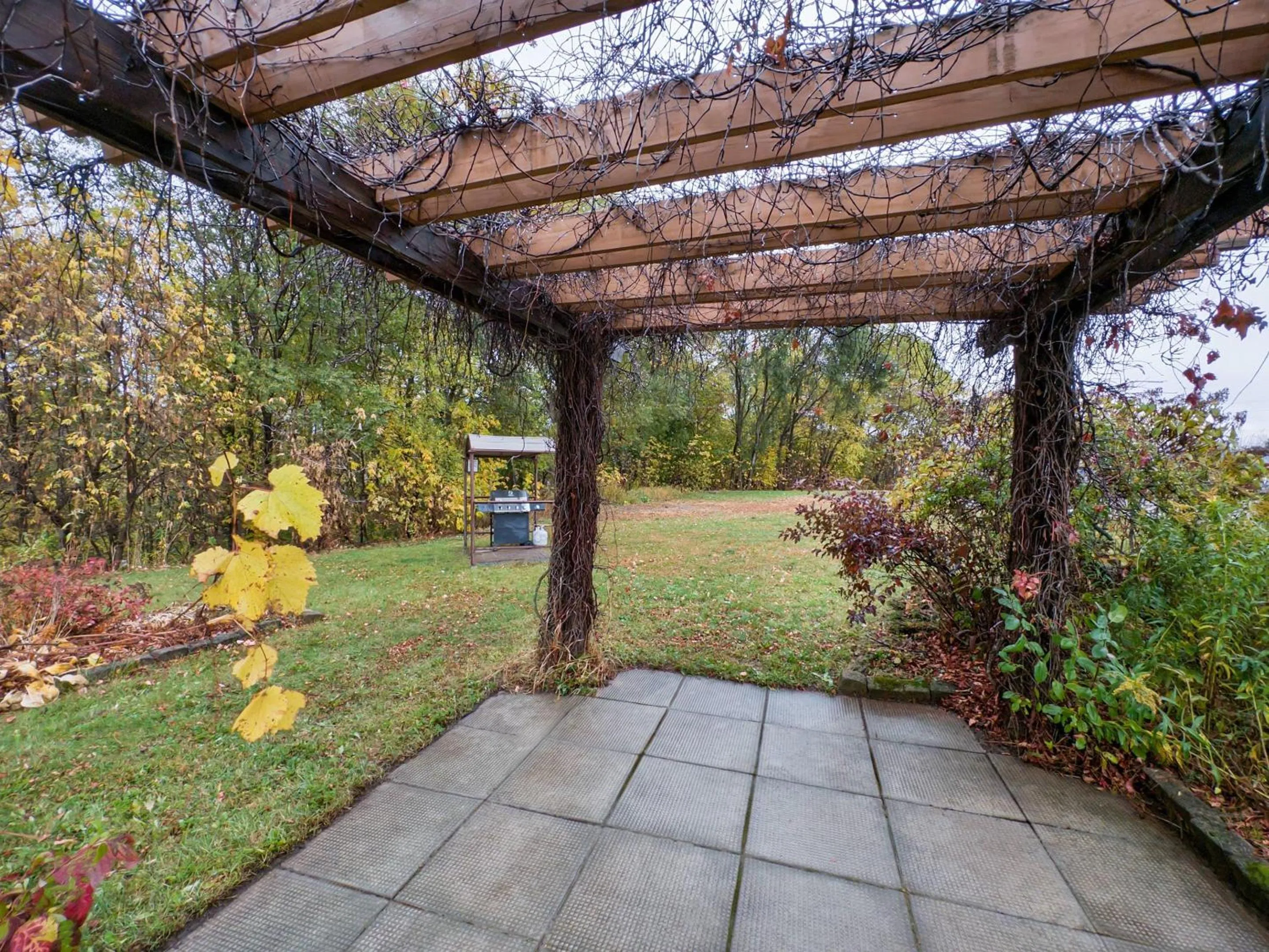 Other in Comfort Inn