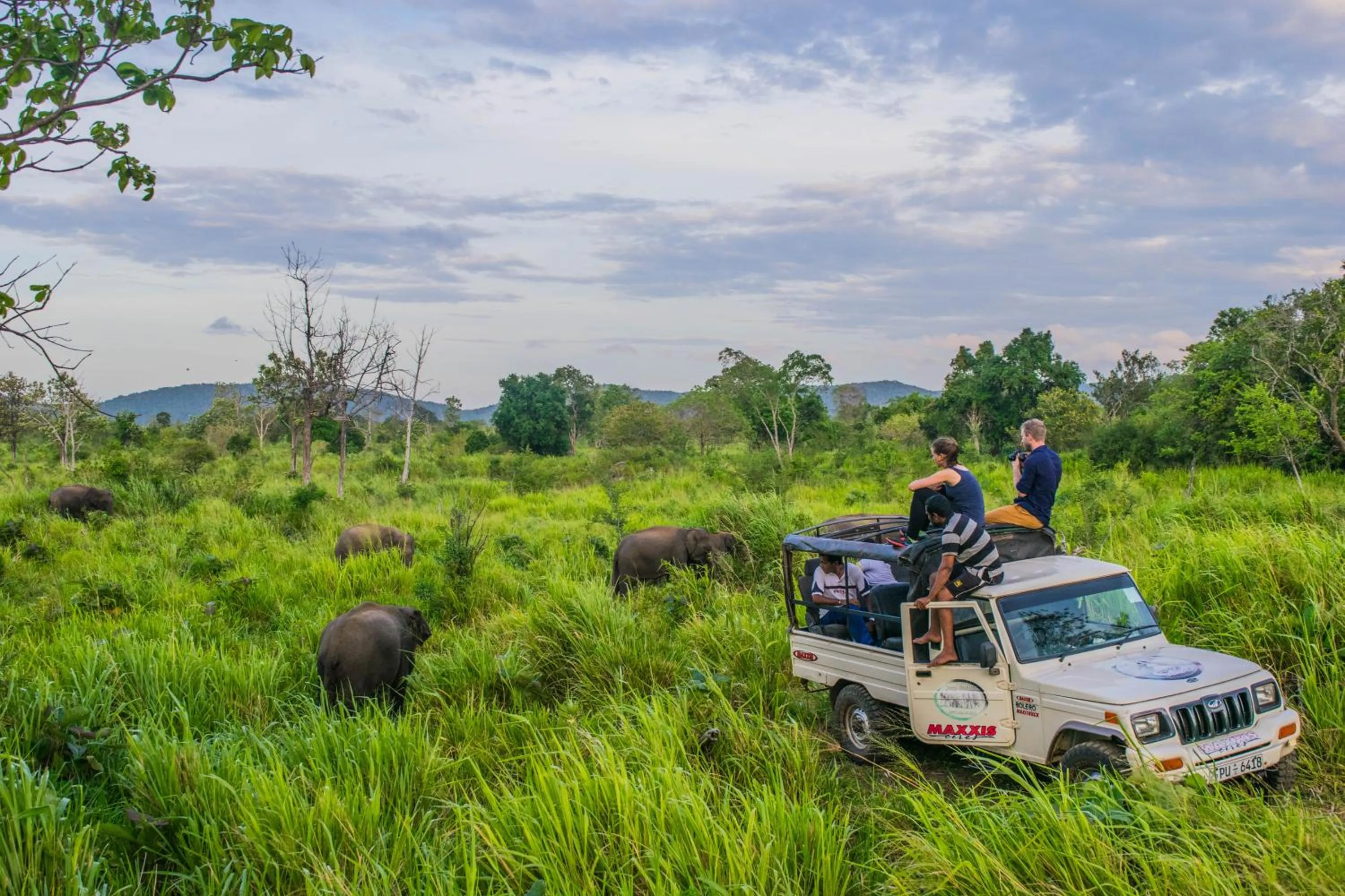 Activities in Tamarind Tamarind Resort, Tourist Board Approved