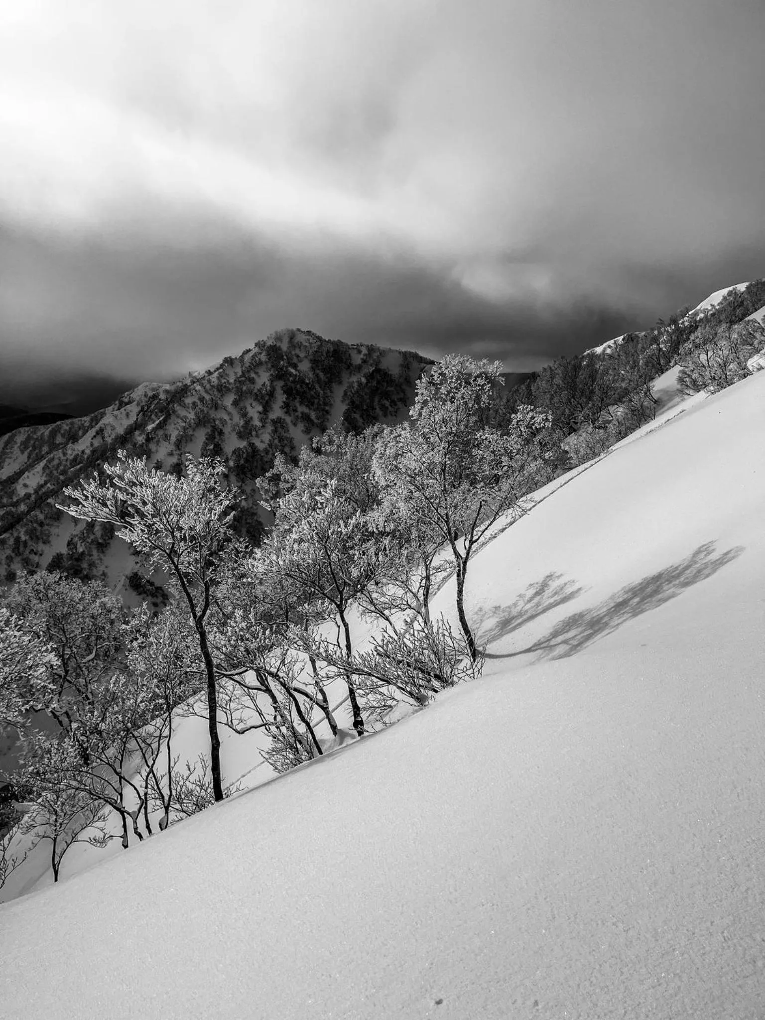 Natural landscape in The Bohemians' Shelter