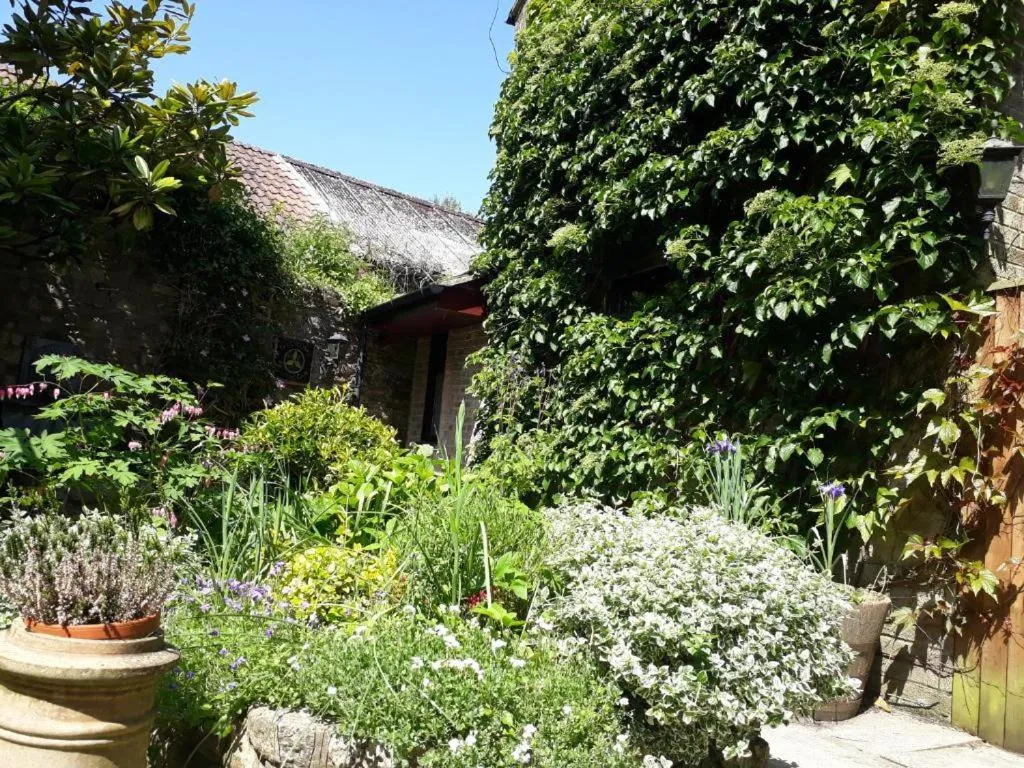 Garden in The Casterbridge