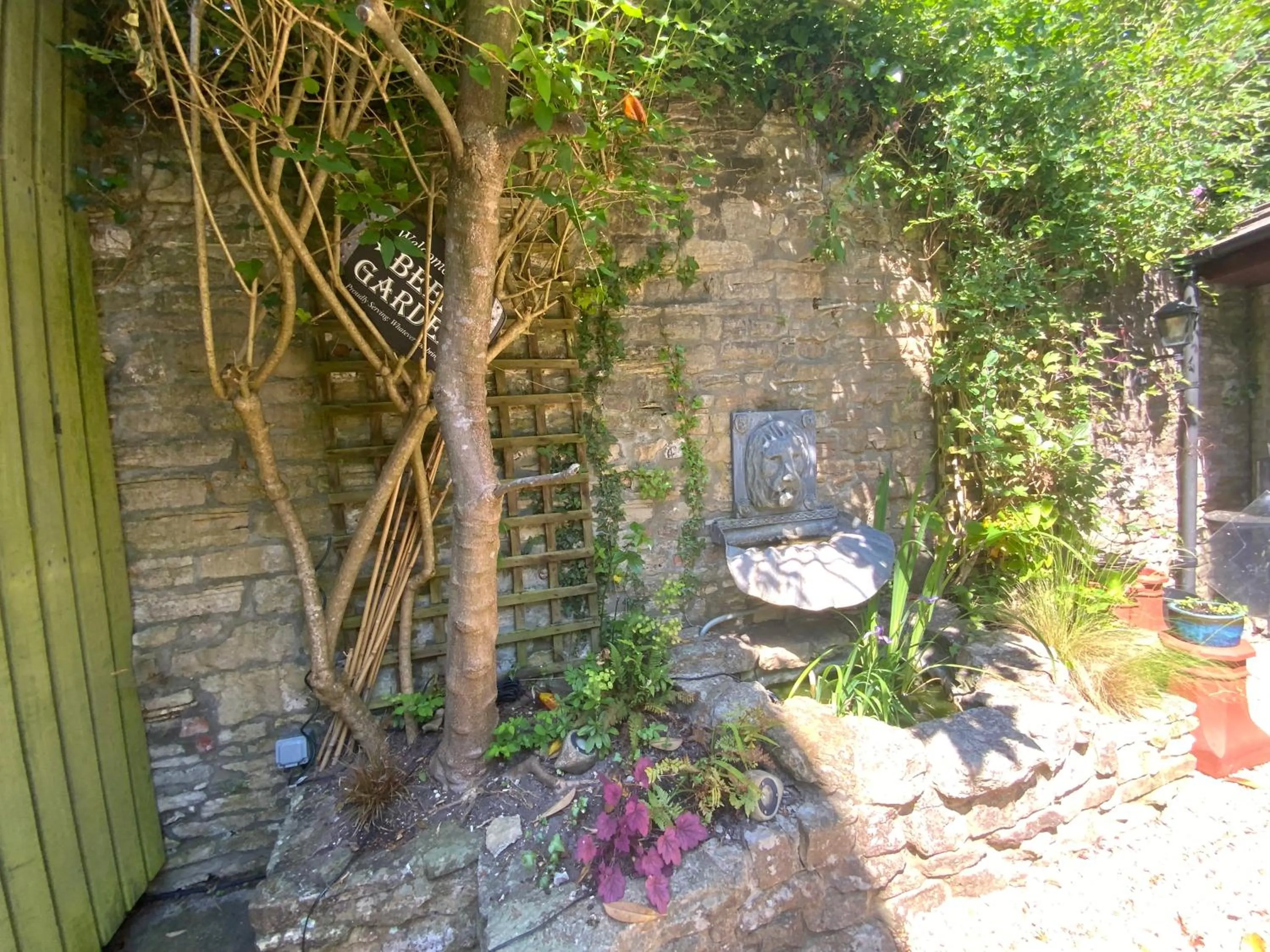 Garden in The Casterbridge