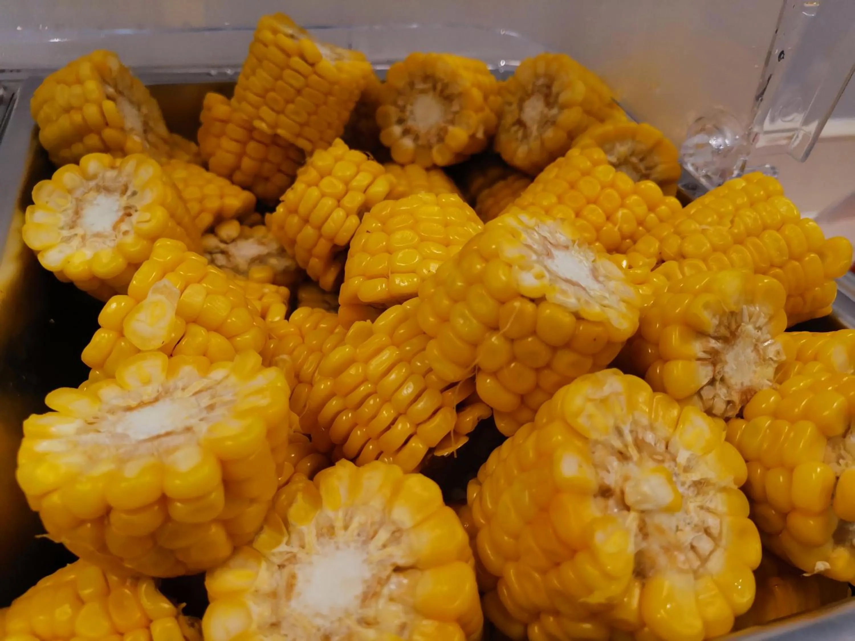 Zhongshan Bafei Hotel