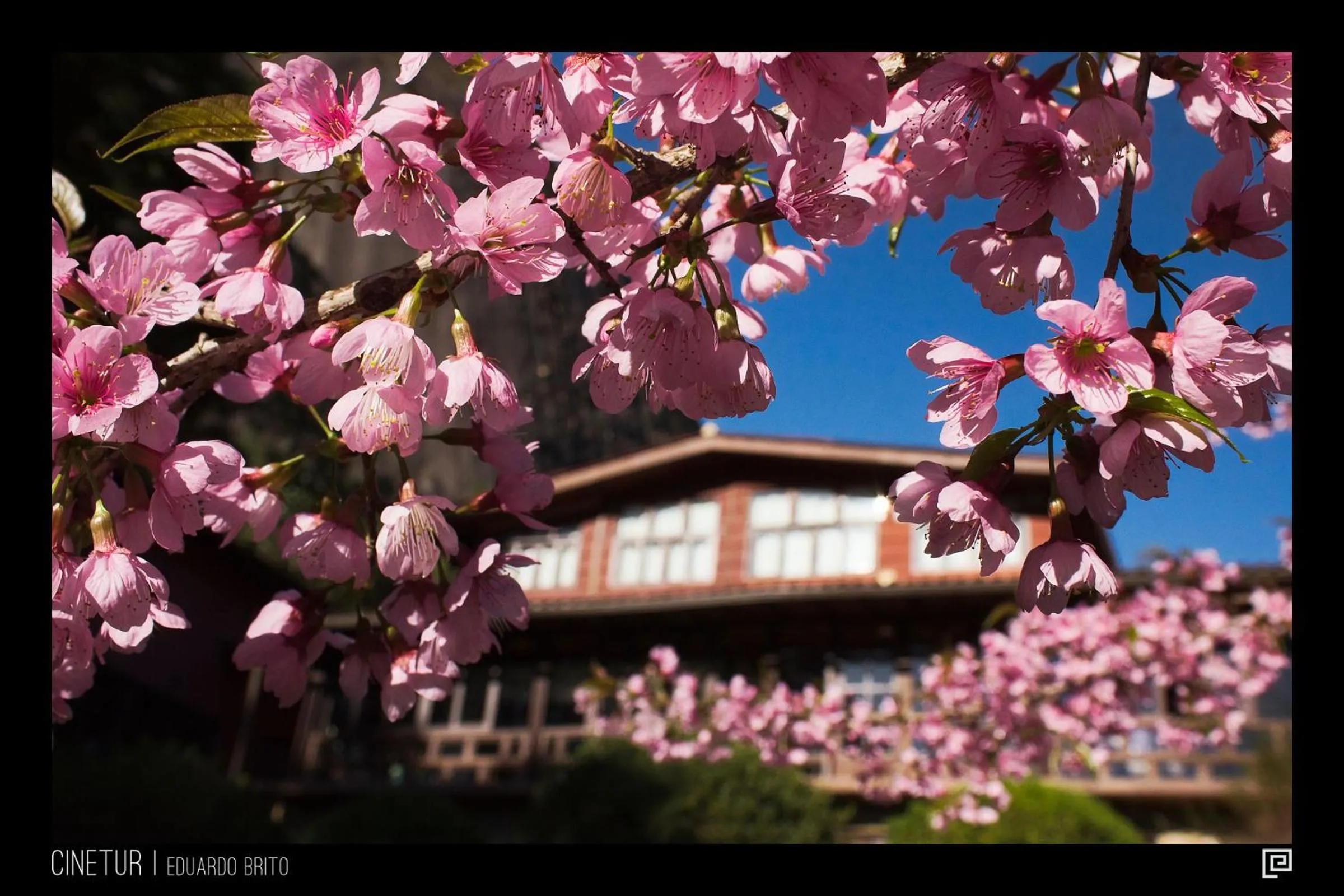 Spring in Pousada Paraíso Açú