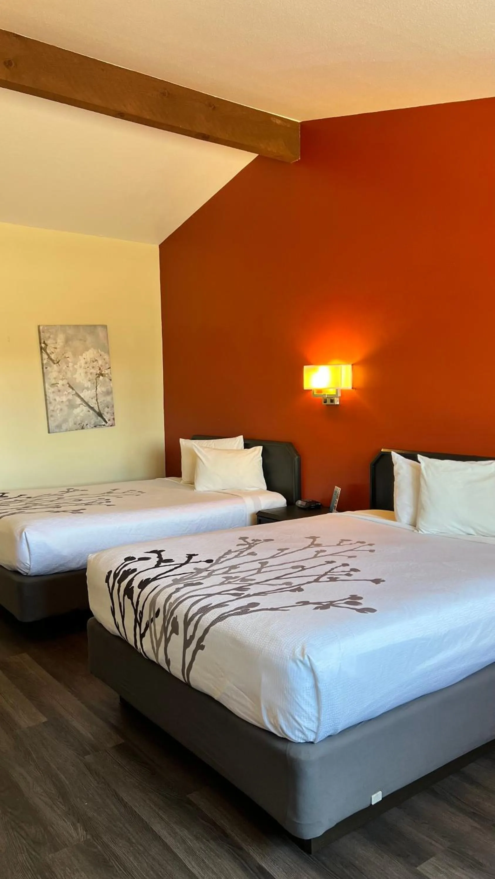 Bed in Black Canyon Motel