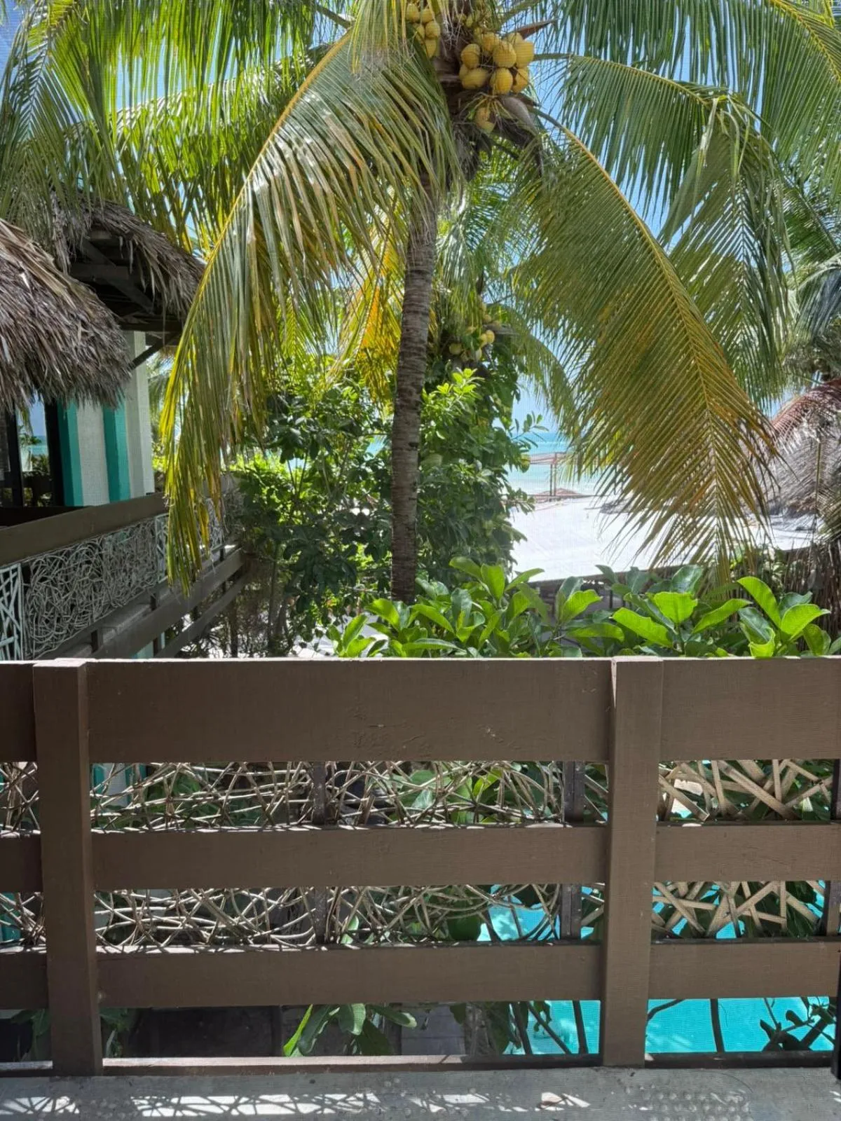 View (from property/room) in Hotel Villas Tiburon Adults Only