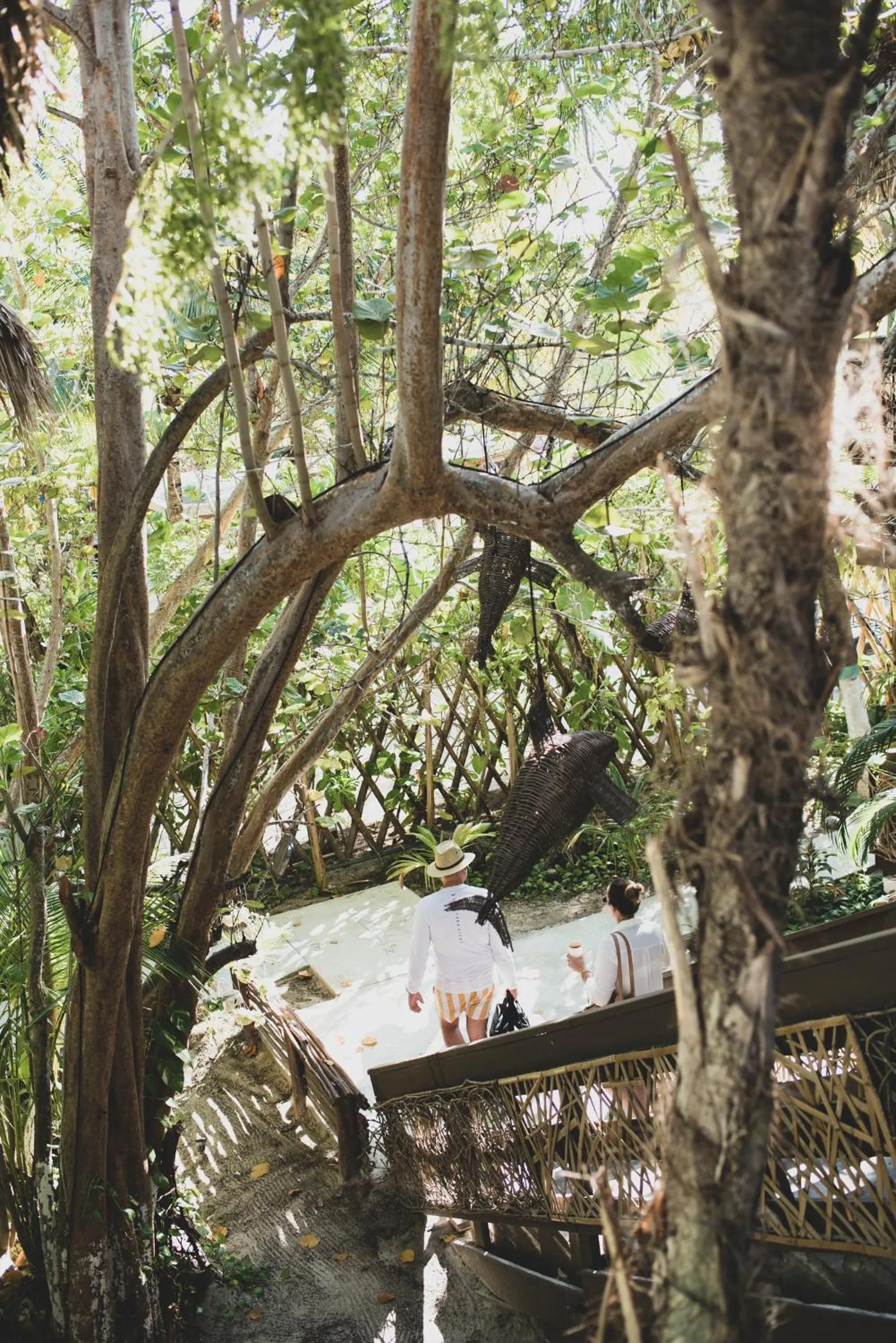 Hotel Villas Tiburon Adults Only