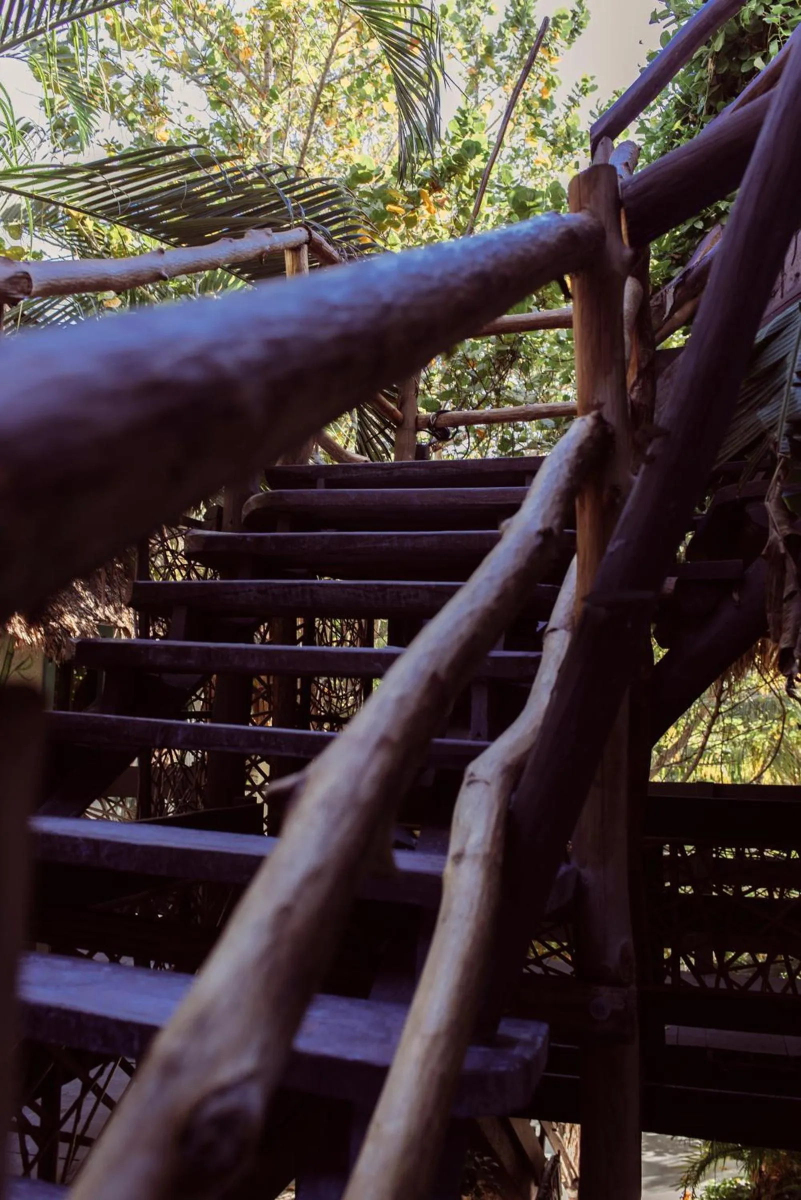 Property building in Hotel Villas Tiburon Adults Only