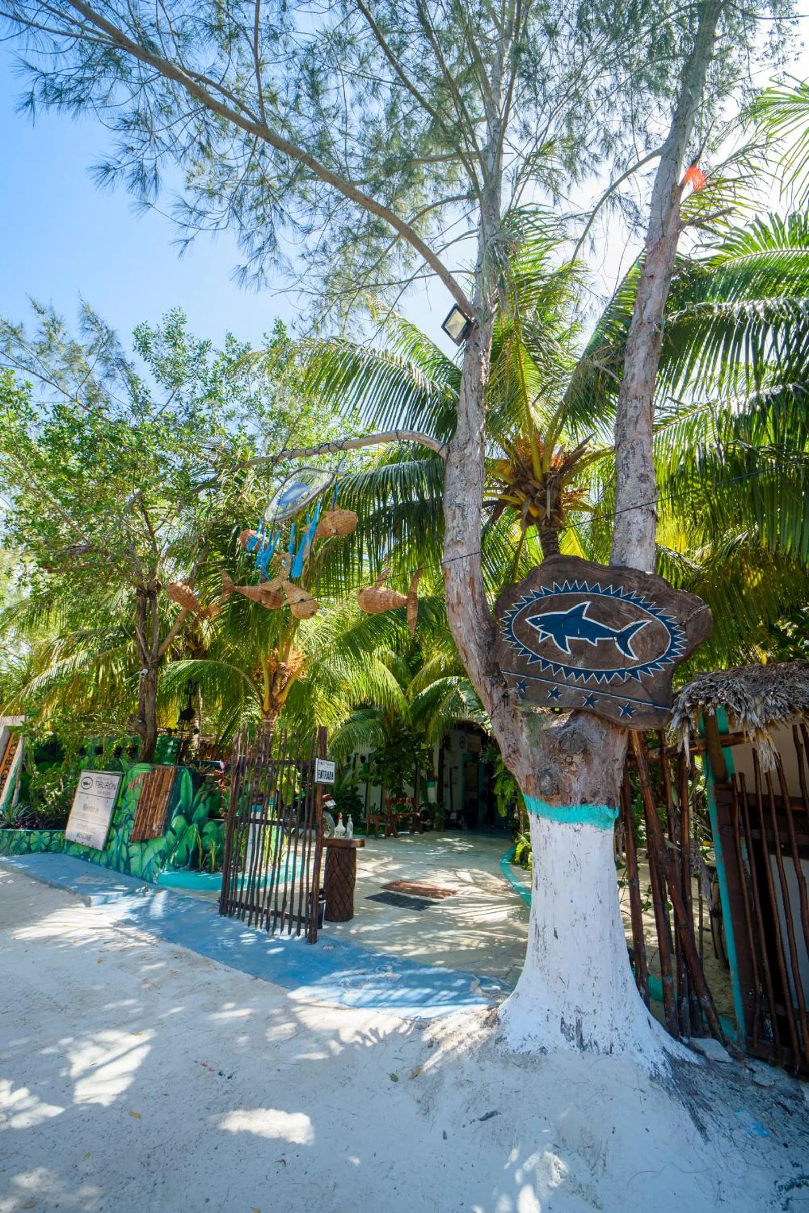 Hotel Villas Tiburon Adults Only