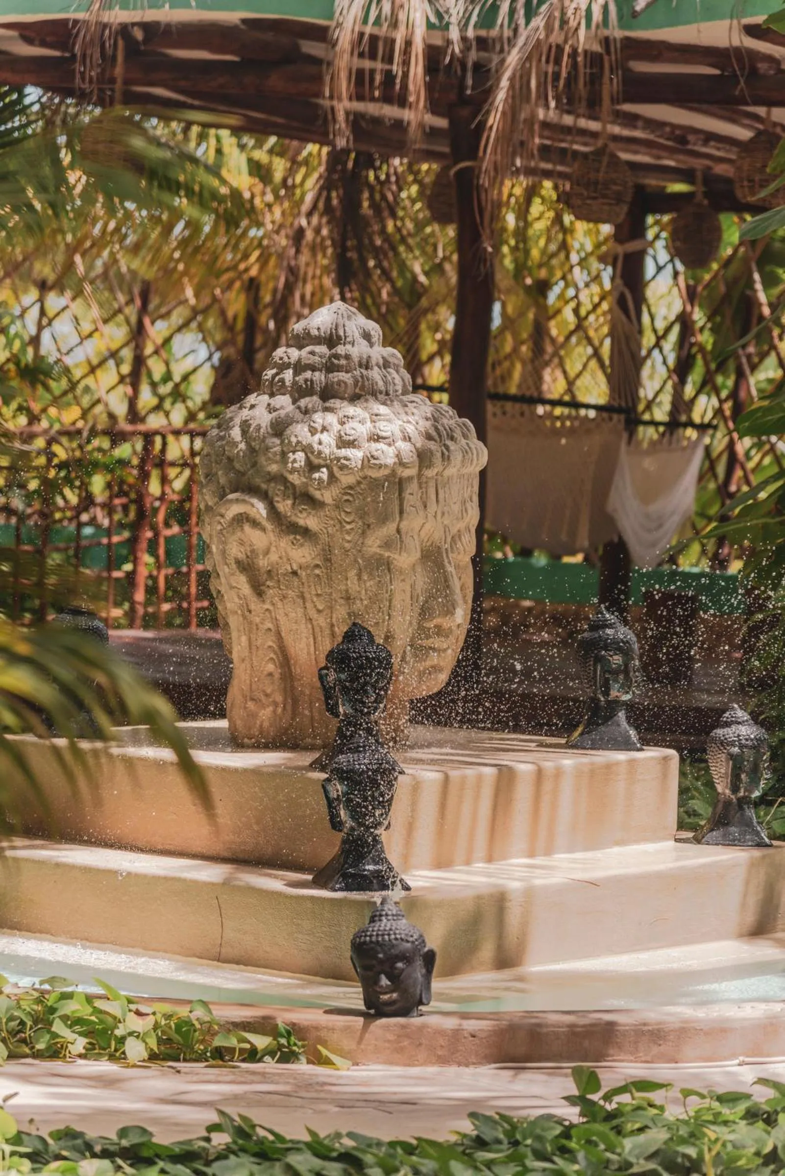 Garden in Hotel Villas Tiburon Adults Only