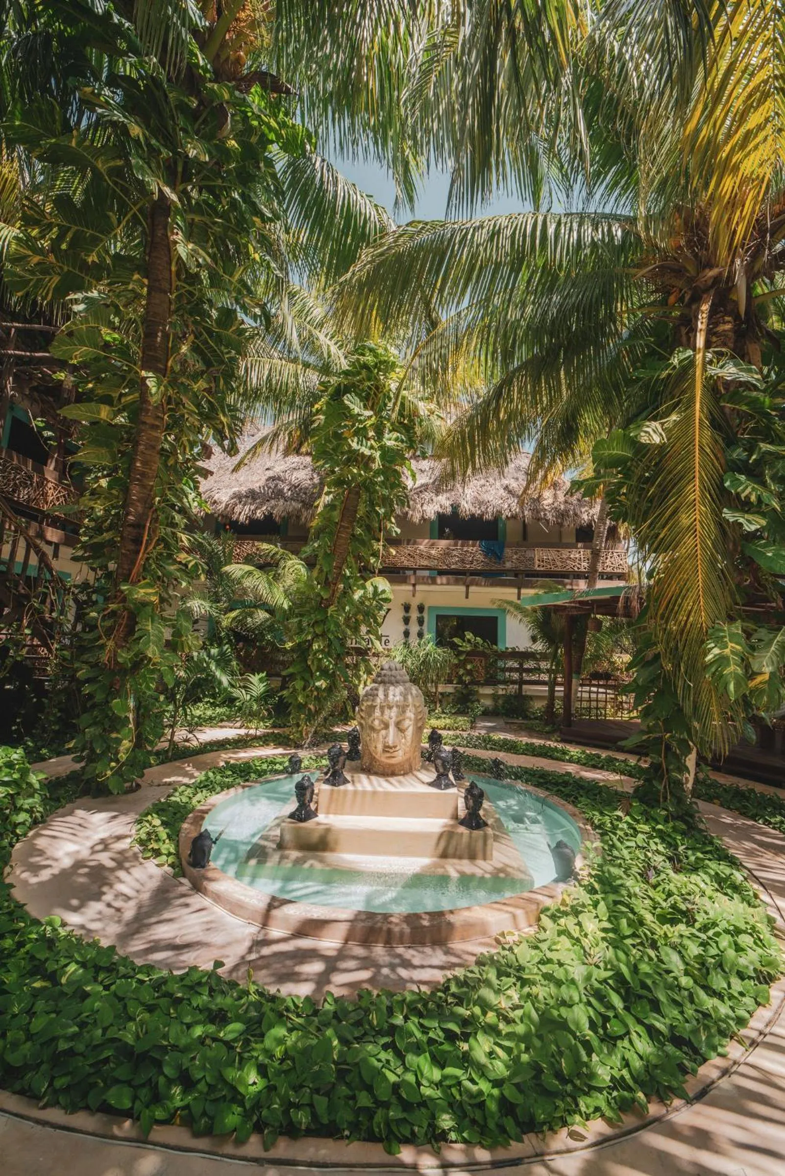 Garden in Hotel Villas Tiburon Adults Only