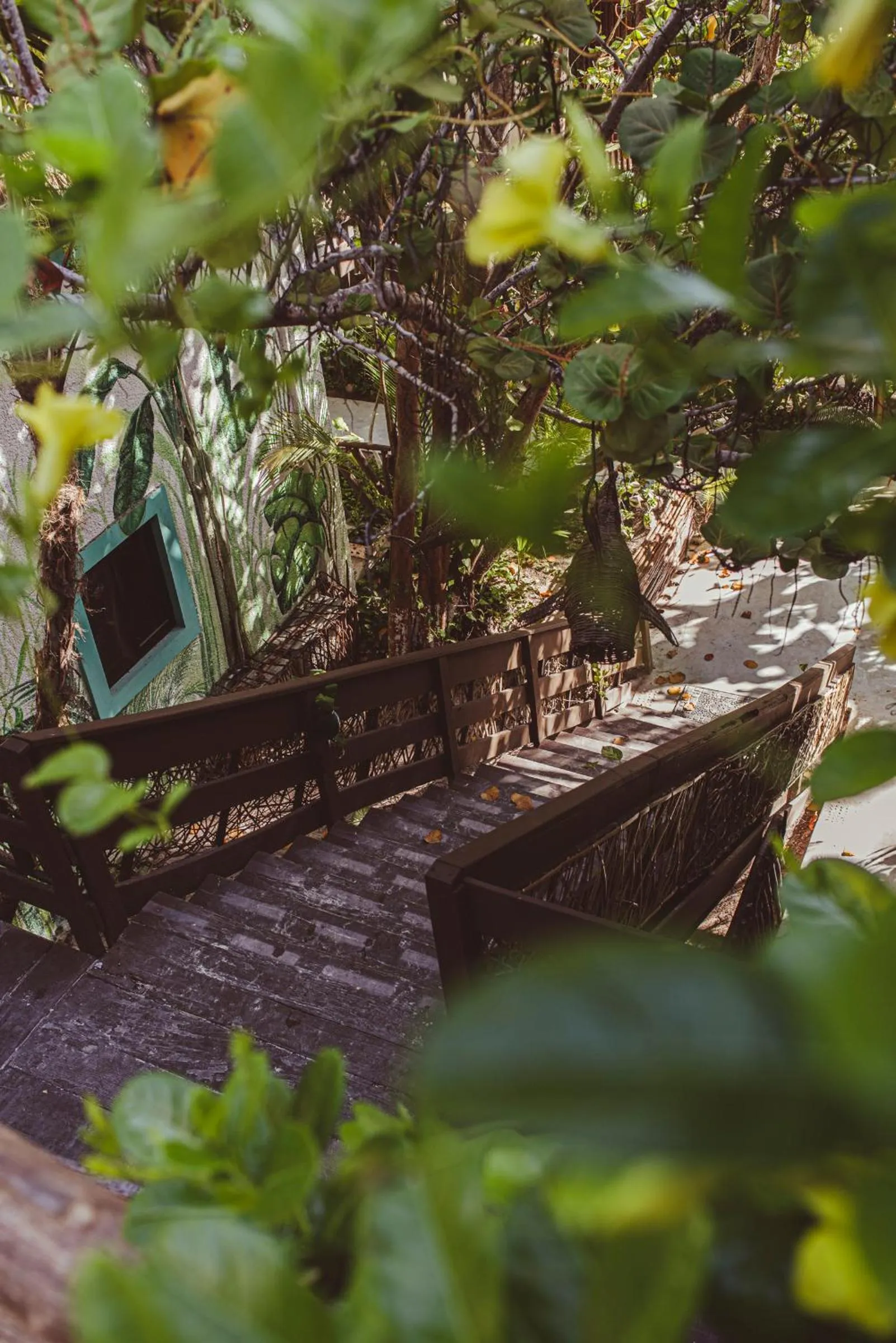 Garden in Hotel Villas Tiburon Adults Only