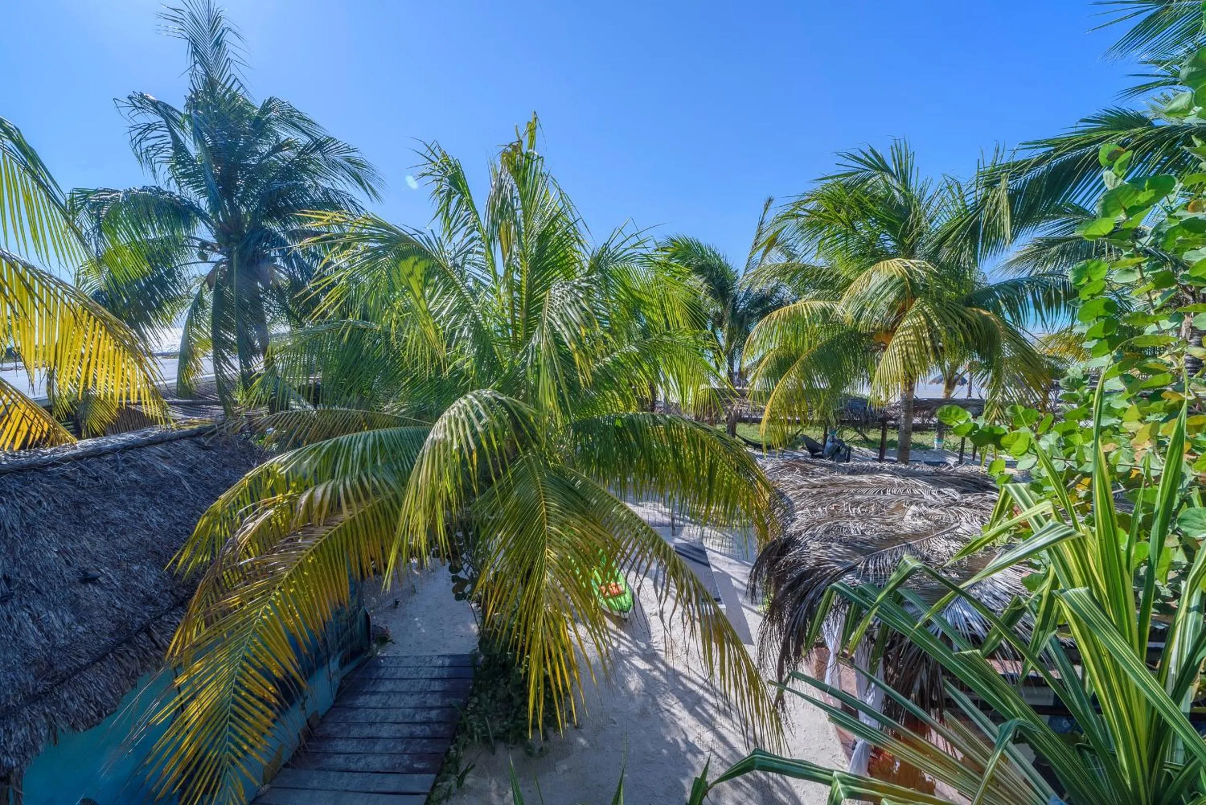 Hotel Villas Tiburon Adults Only