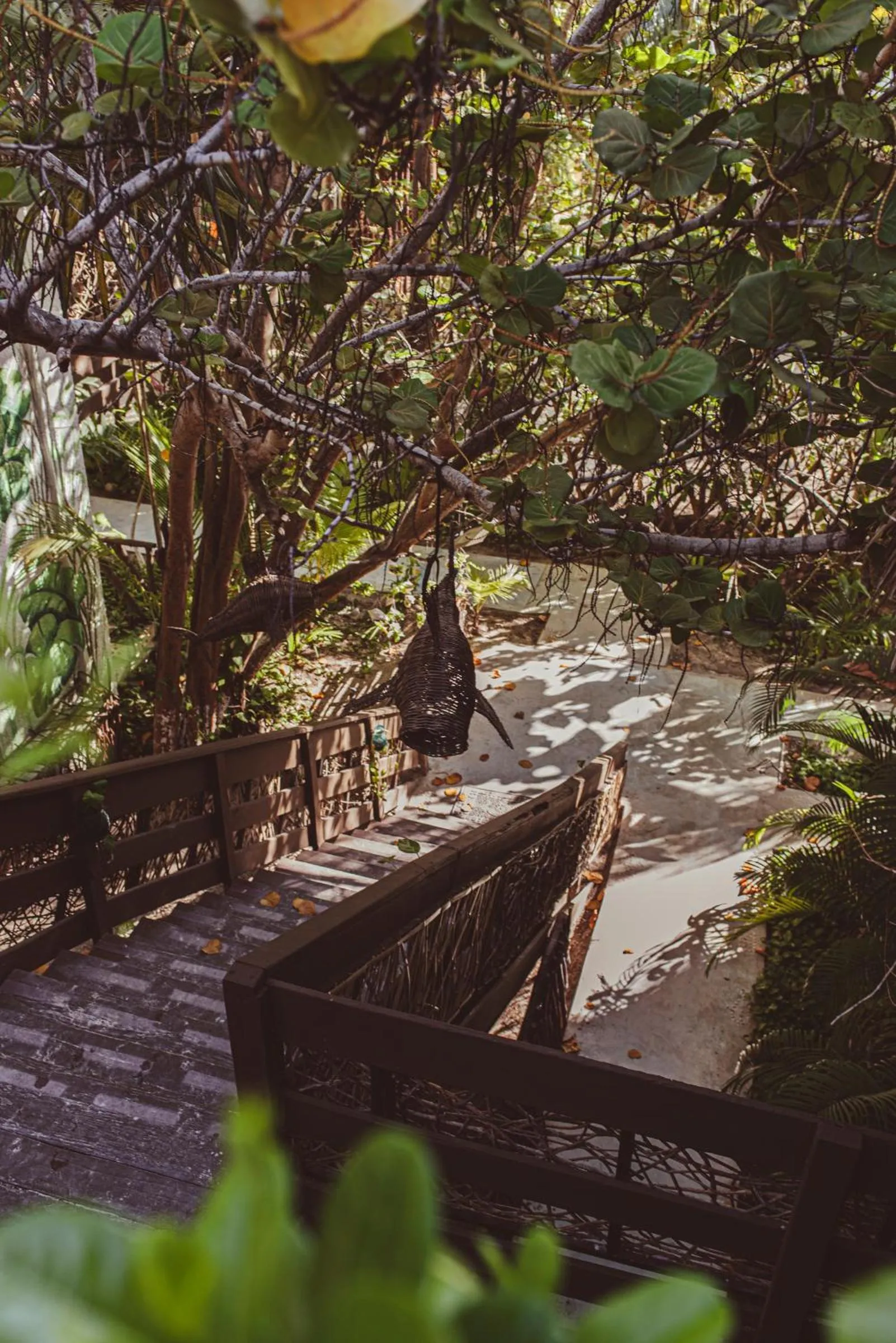 Hotel Villas Tiburon Adults Only