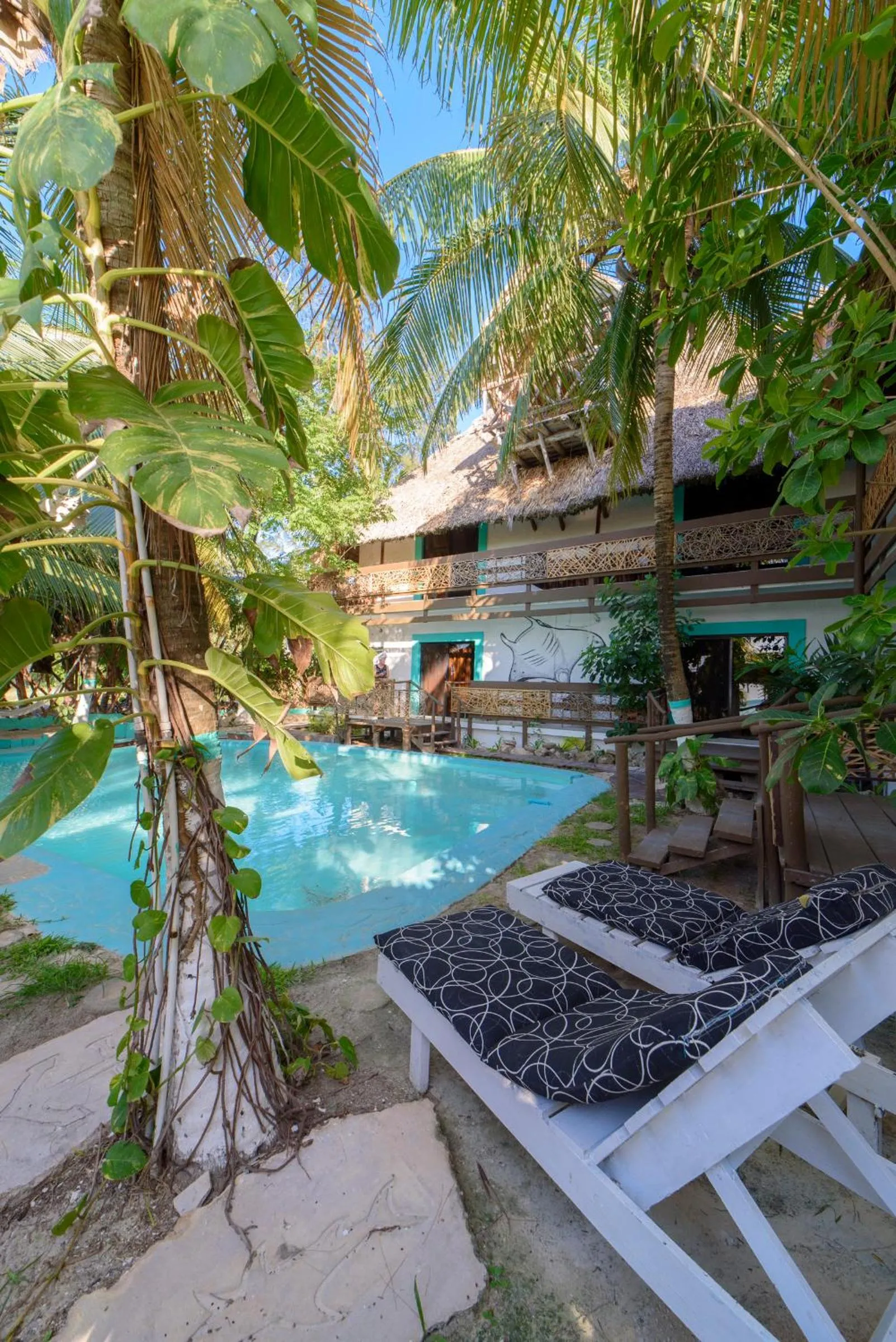 Swimming pool in Hotel Villas Tiburon Adults Only