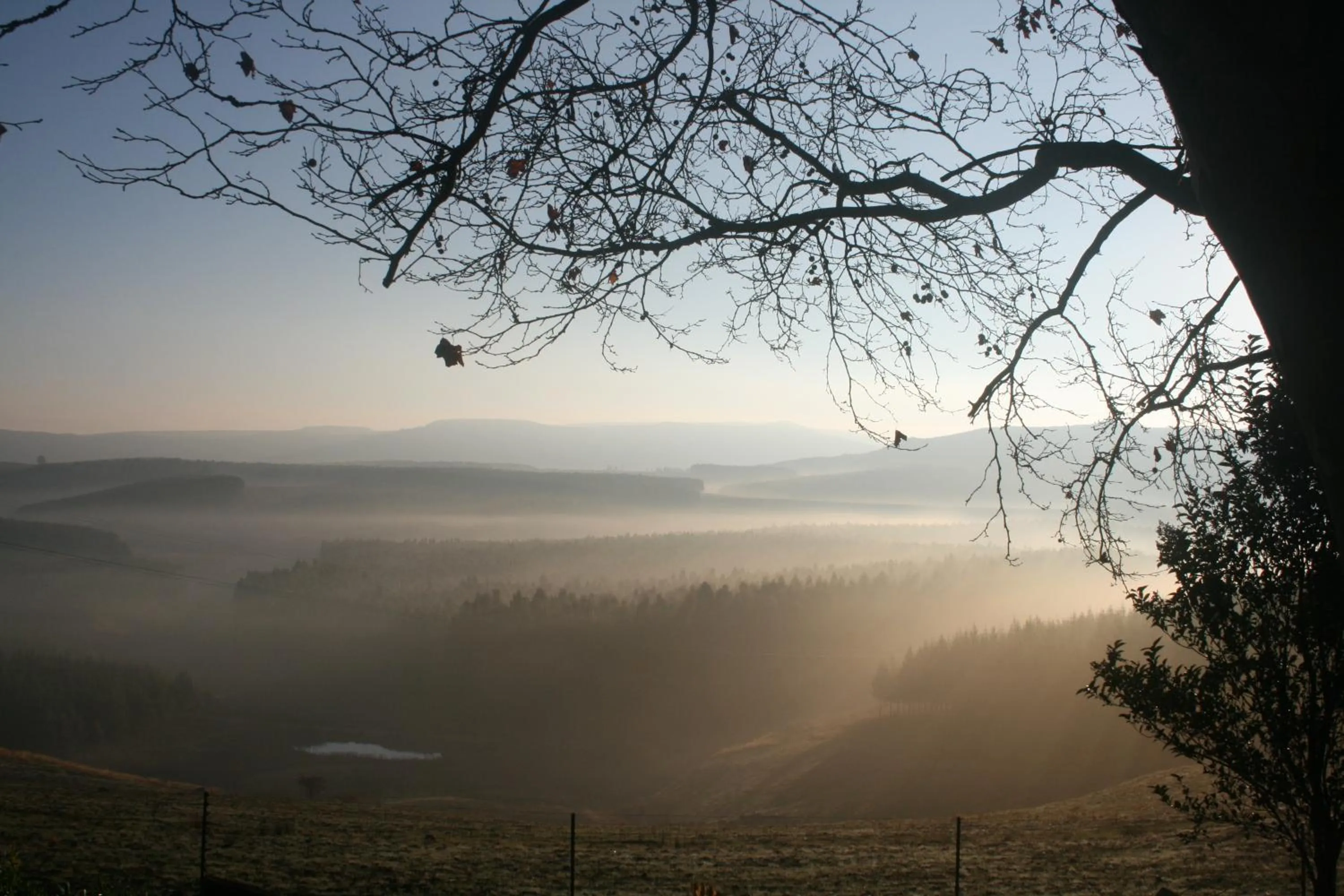 Mountain view in Curry's Post Bed & Breakfast