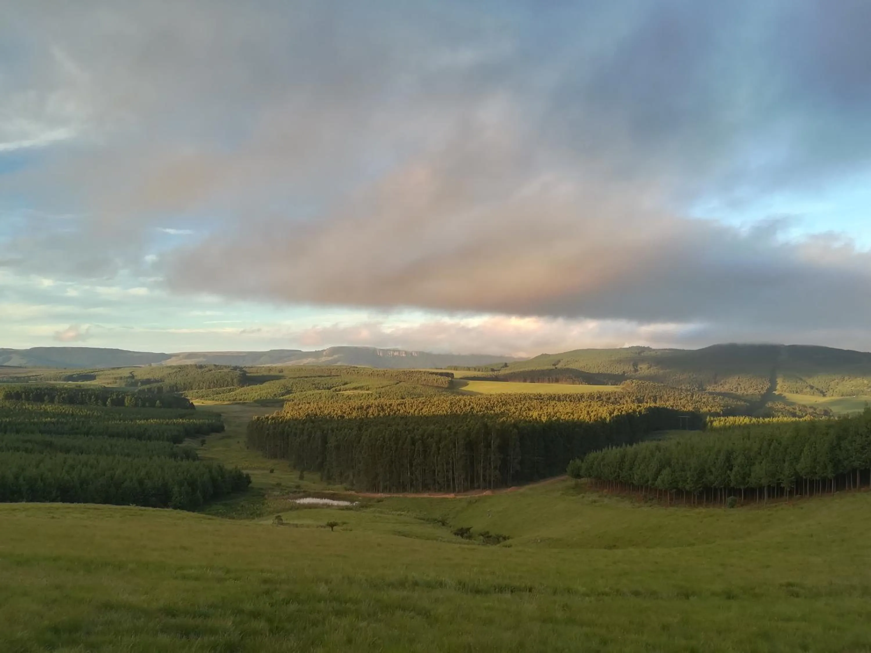 Mountain view in Curry's Post Bed & Breakfast