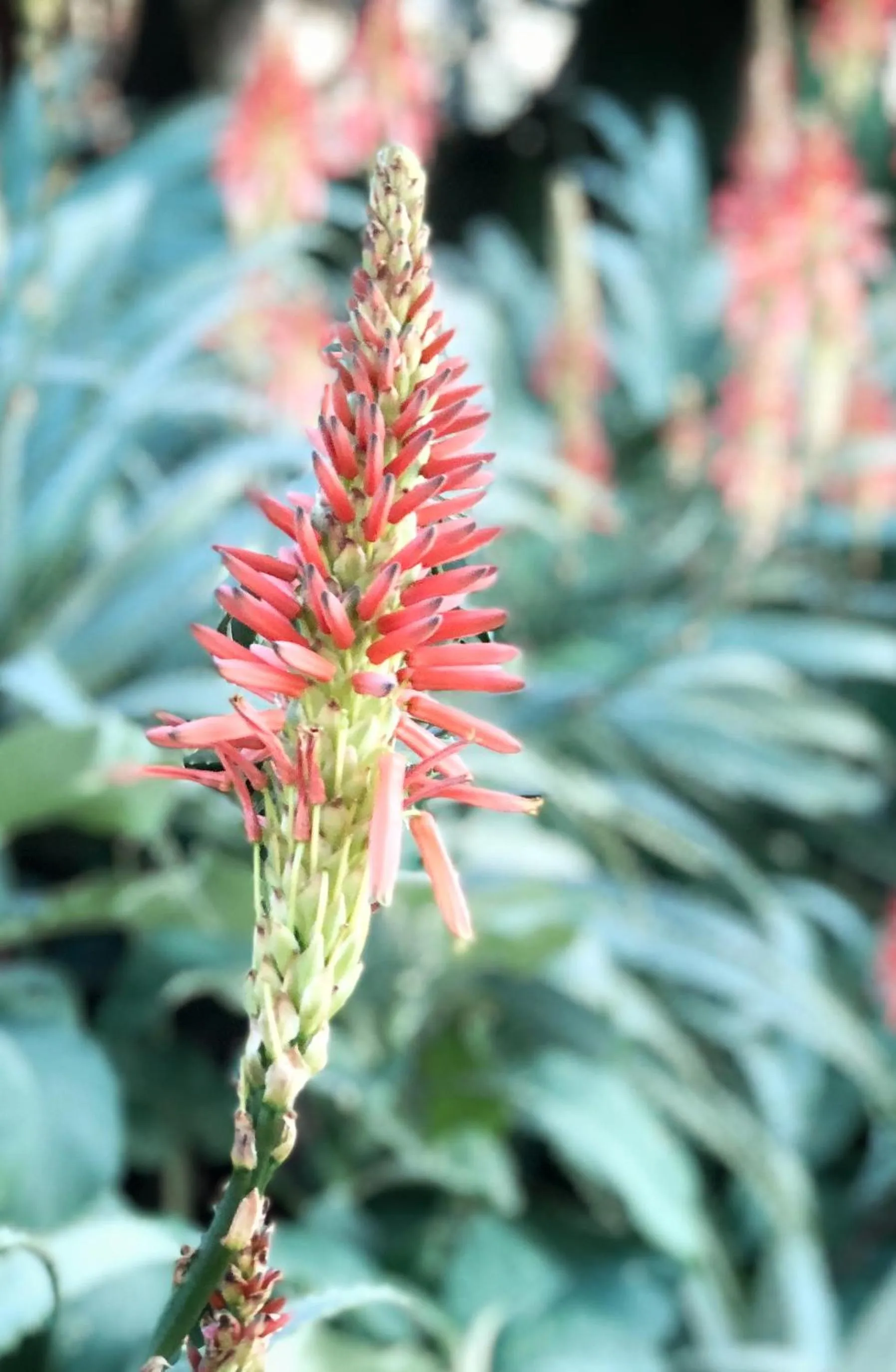 Natural landscape in Curry's Post Bed & Breakfast