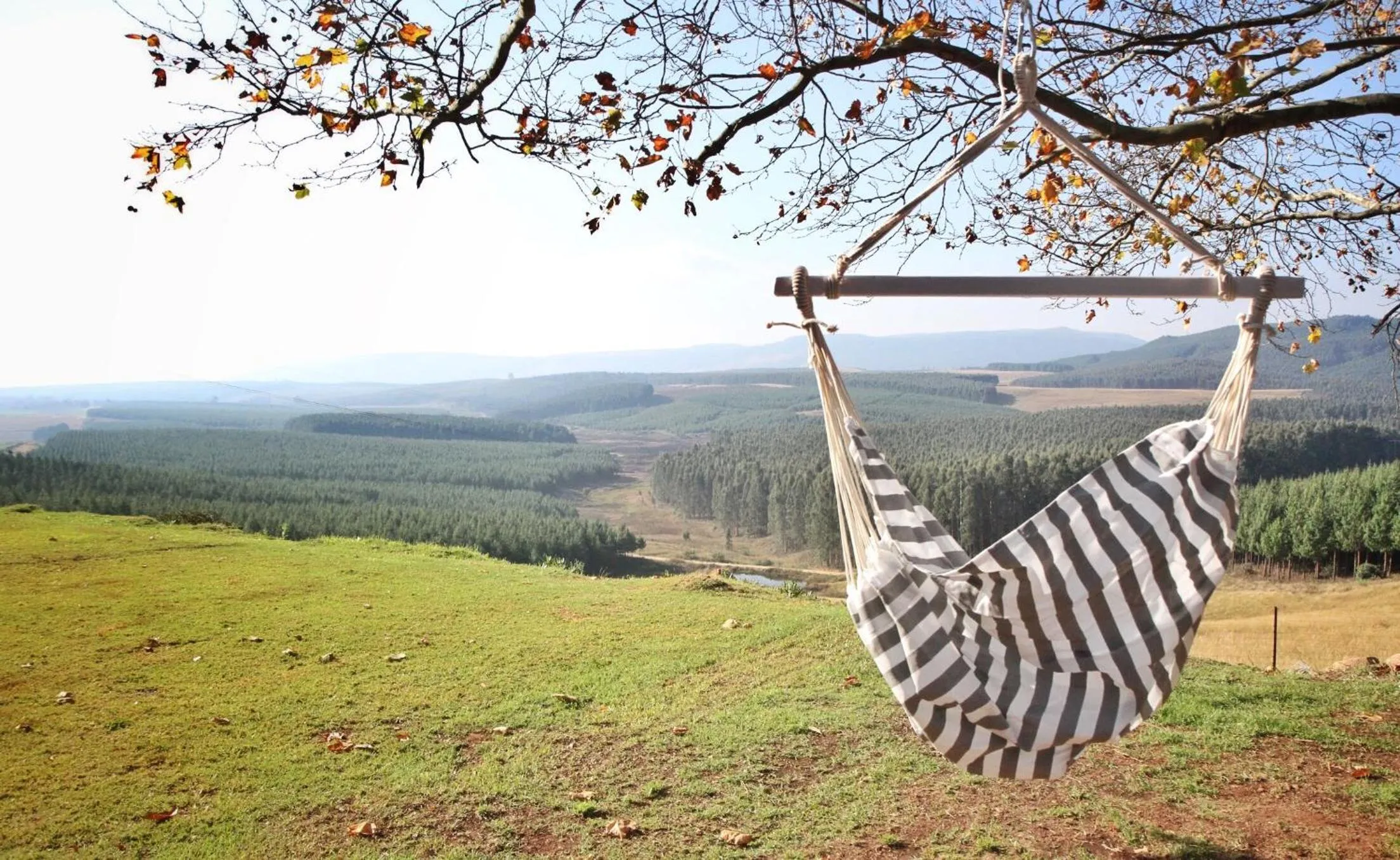 Mountain view in Curry's Post Bed & Breakfast