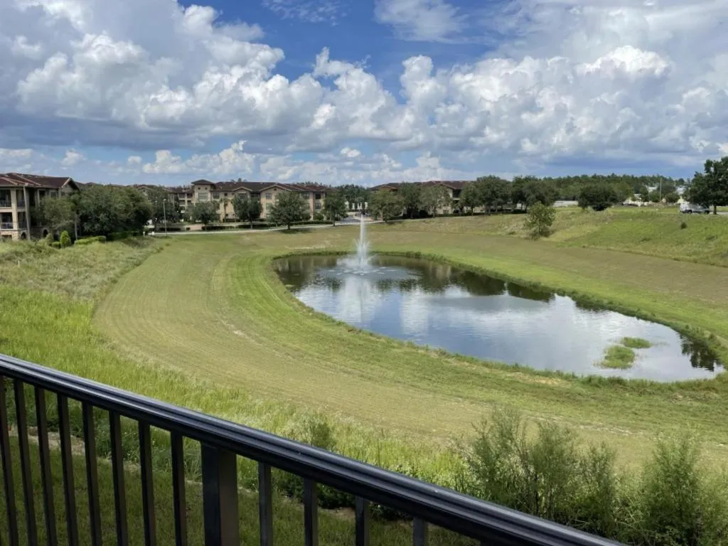 View (from property/room) in Regal Palms Resort & Spa