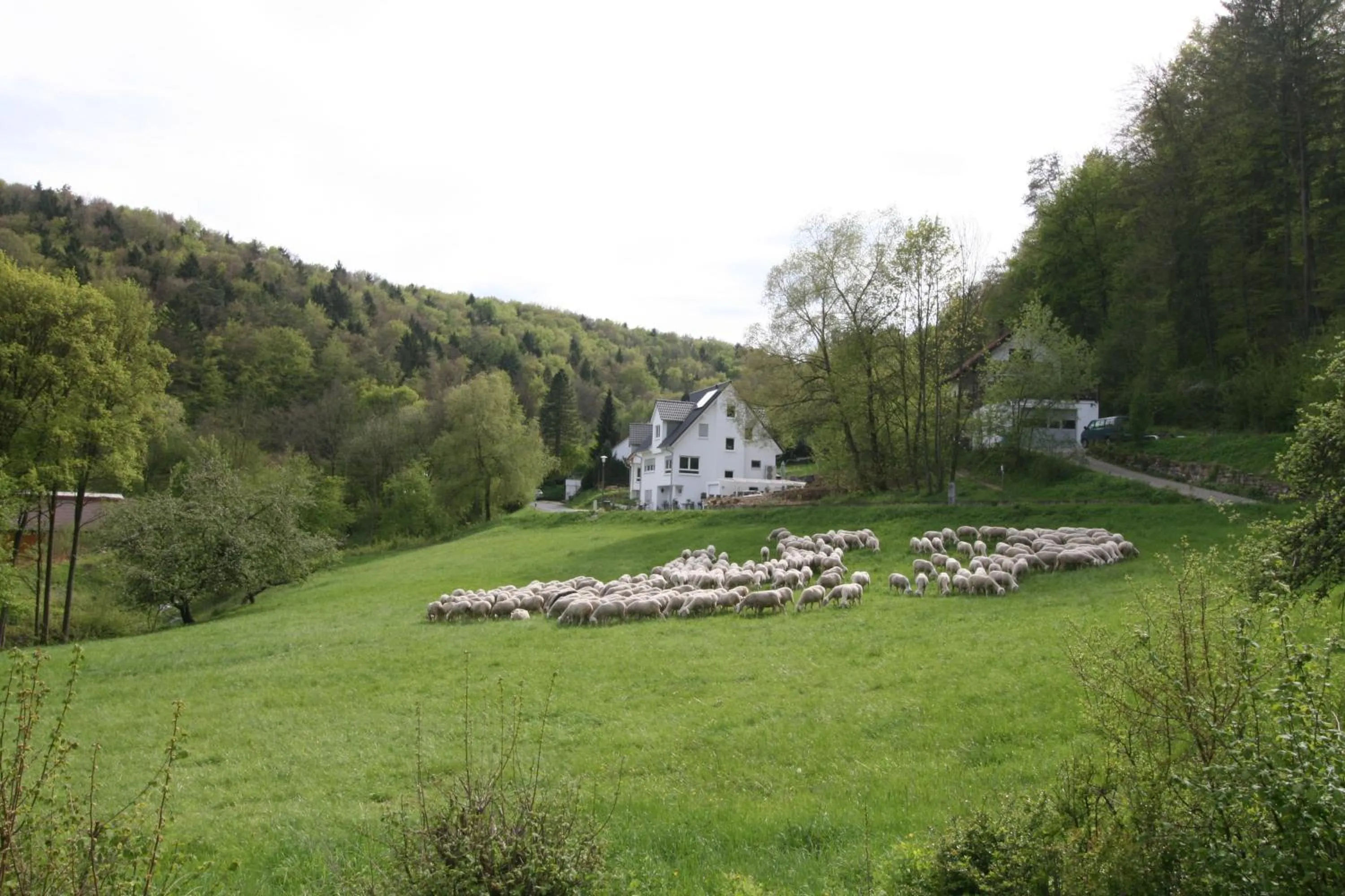 Property building in B&B Arlesbrunnen